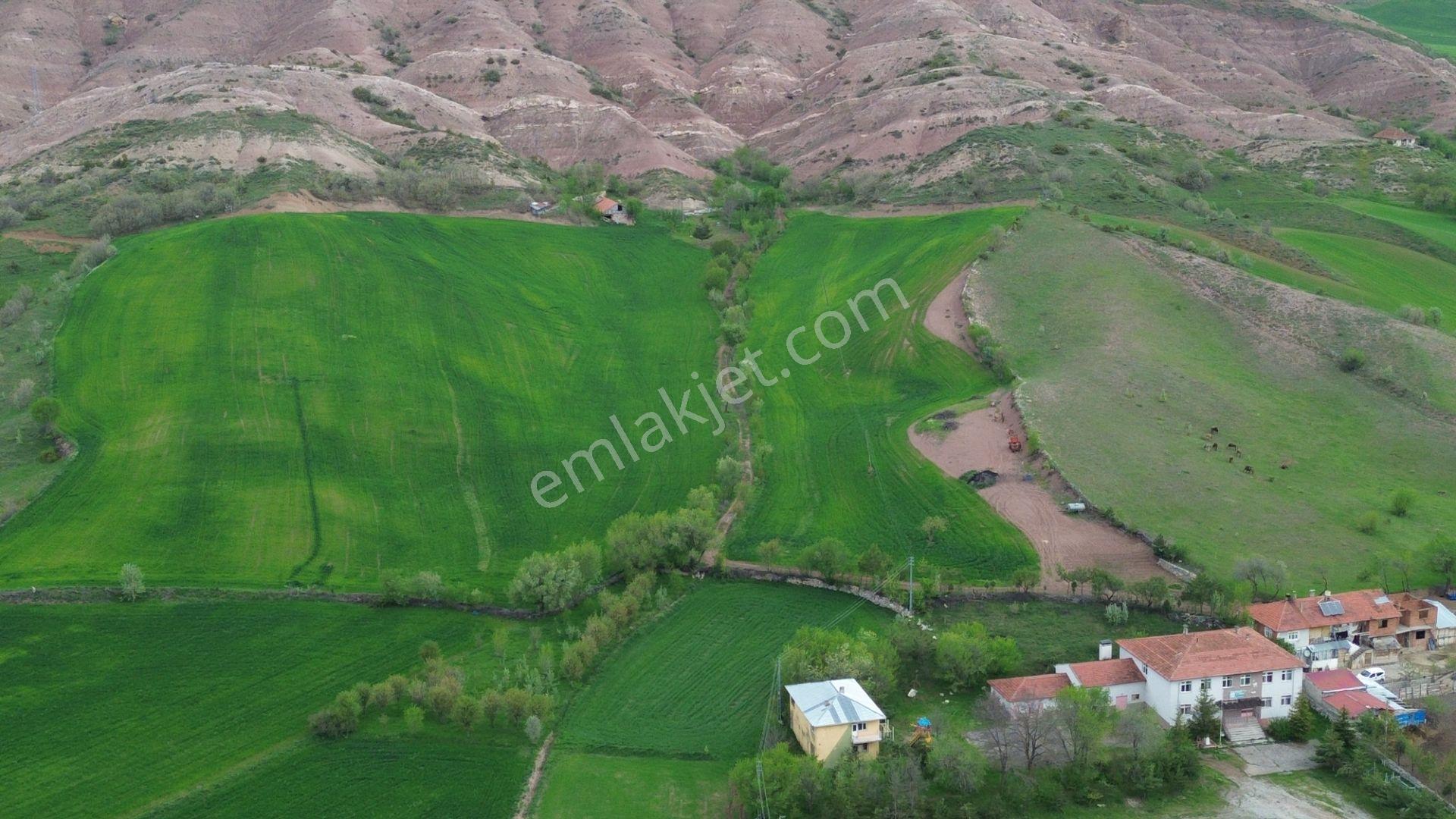 Tokat / Artova / Ağmusa Mahallesinde 4.851 M² Müstakil Tapulu Tarla - Görsel 25