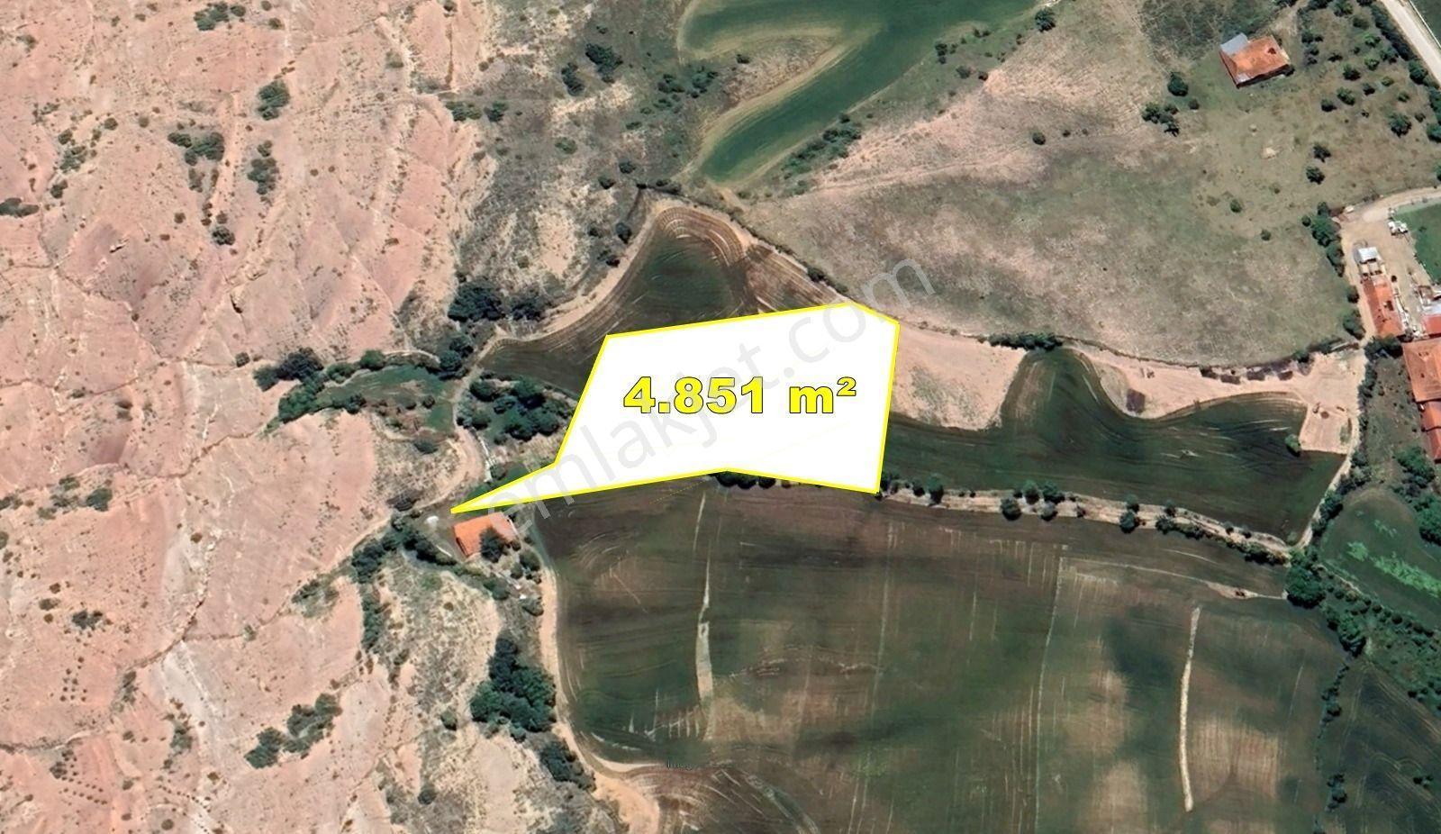 Tokat / Artova / Ağmusa Mahallesinde 4.851 M² Müstakil Tapulu Tarla - Görsel 3