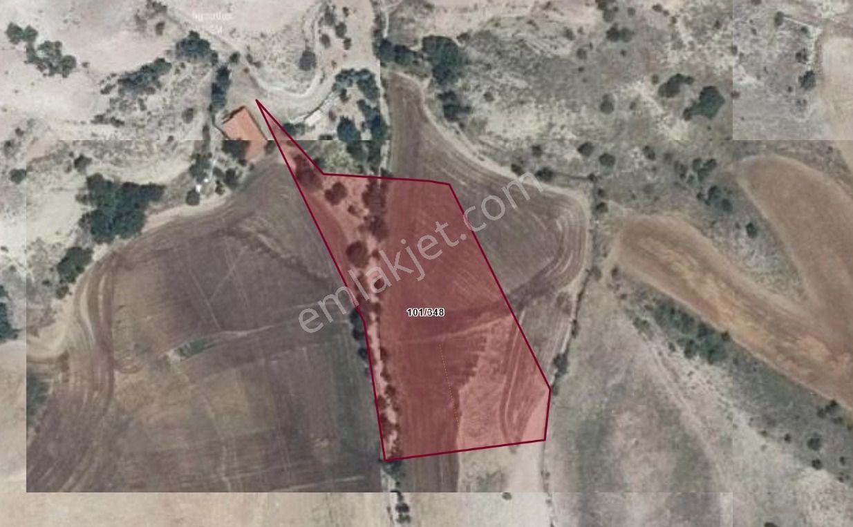 Tokat / Artova / Ağmusa Mahallesinde 4.851 M² Müstakil Tapulu Tarla - Görsel 5