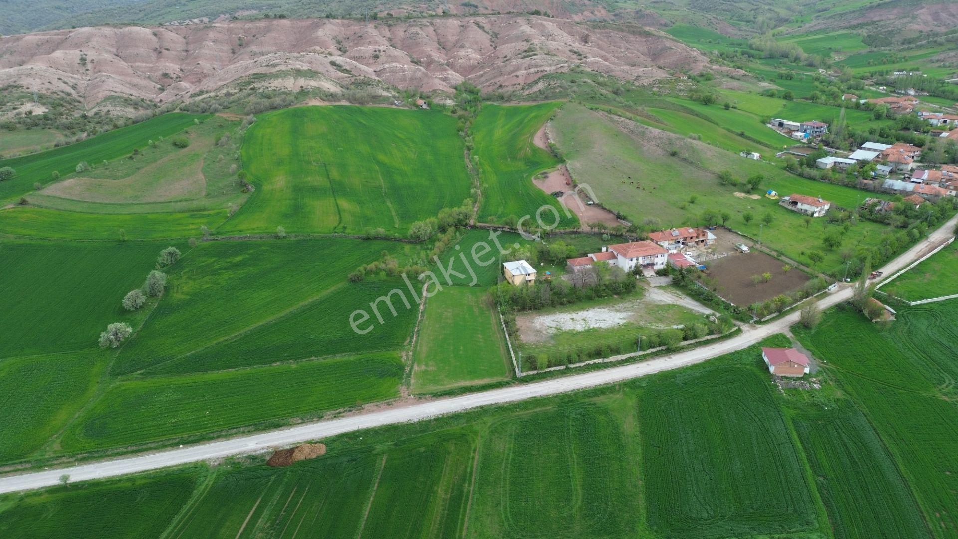 Tokat / Artova / Ağmusa Mahallesinde 4.851 M² Müstakil Tapulu Tarla - Görsel 17