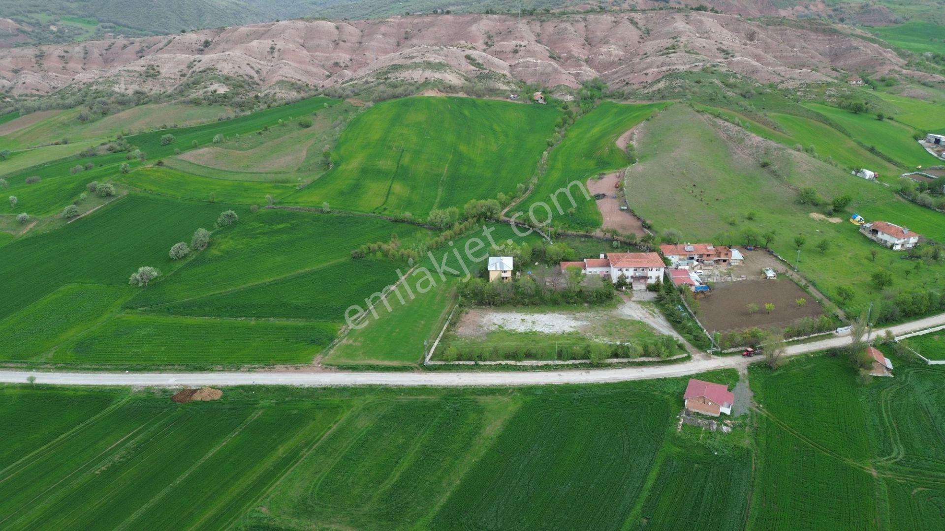 Tokat / Artova / Ağmusa Mahallesinde 4.851 M² Müstakil Tapulu Tarla - Görsel 20