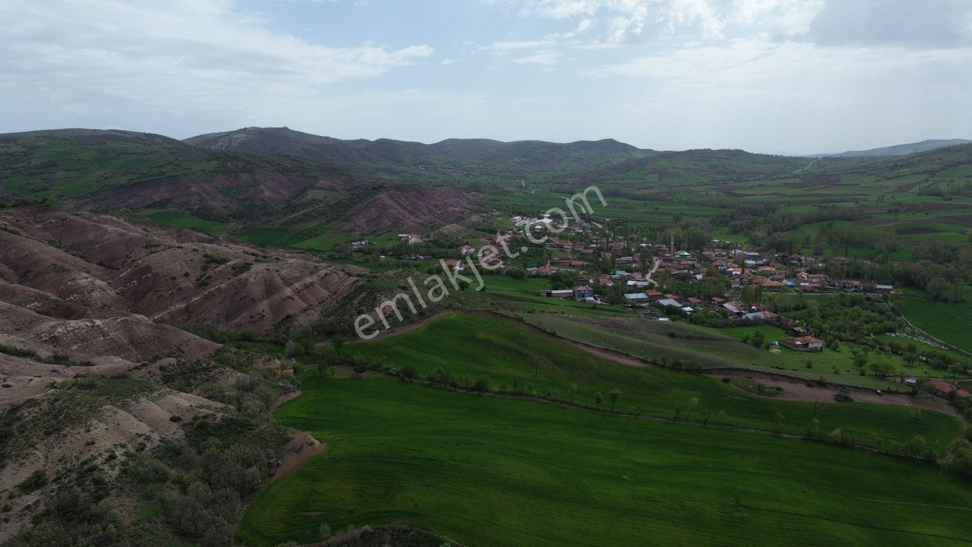 Tokat / Artova / Ağmusa Mahallesinde 4.851 M² Müstakil Tapulu Tarla - Görsel 9