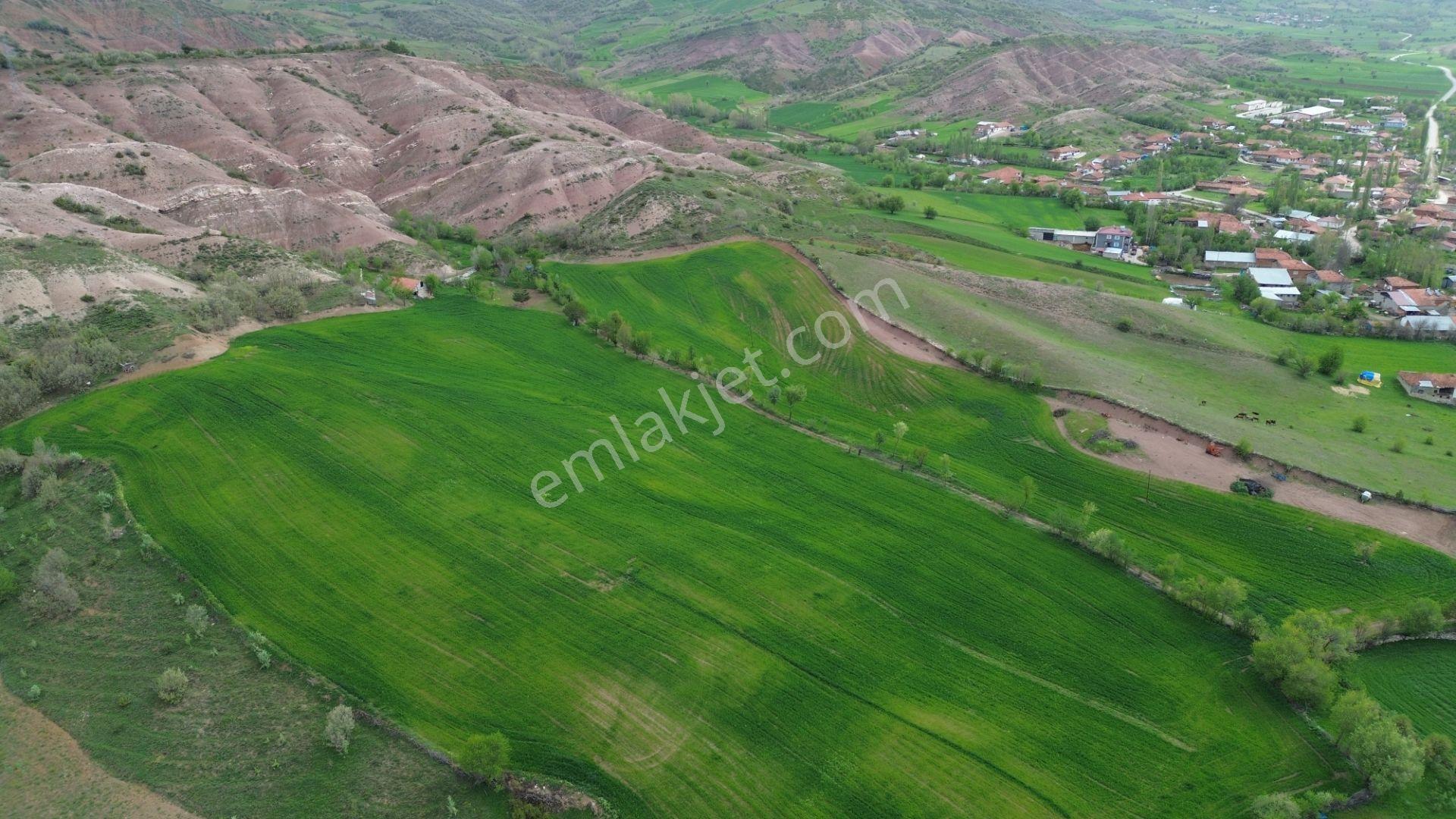 Tokat / Artova / Ağmusa Mahallesinde 4.851 M² Müstakil Tapulu Tarla - Görsel 13