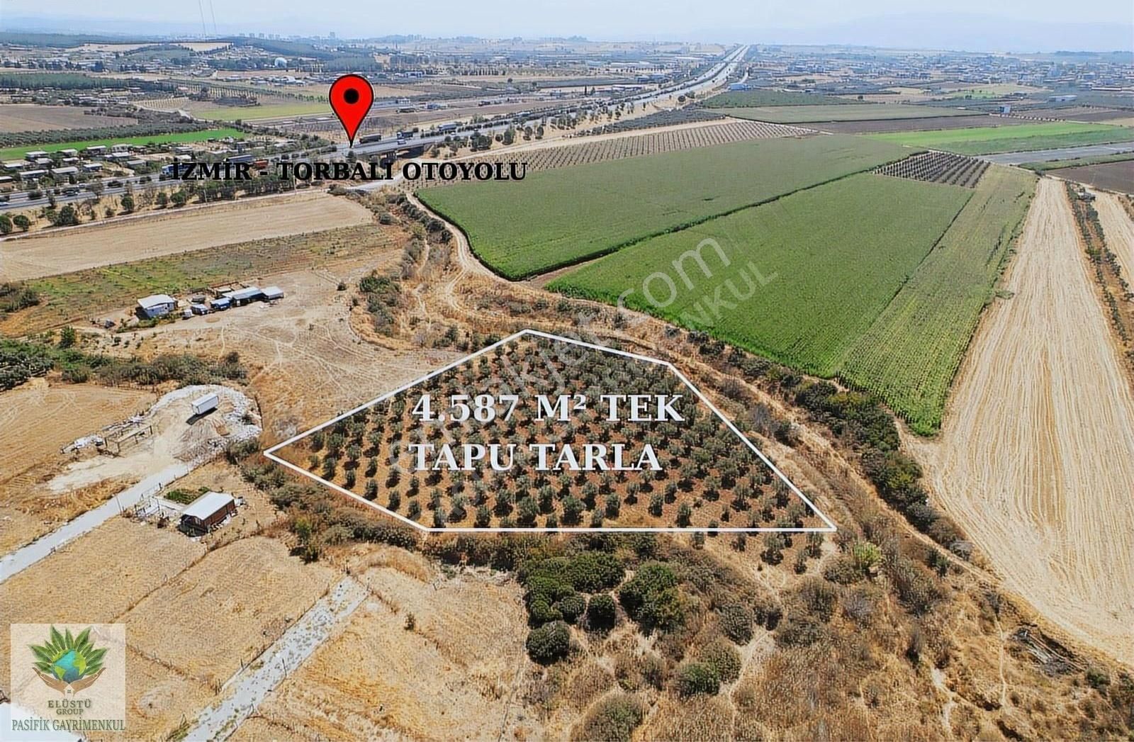 Pasifikten Menderes Oğlananasında 4.587 M² Tek Tapu Tarla - Görsel 2