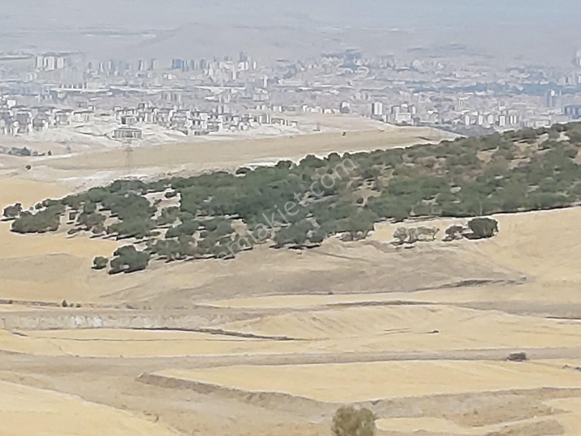 İlyaptan Yapracık Tokide Kiralık 3+1 - Görsel 8