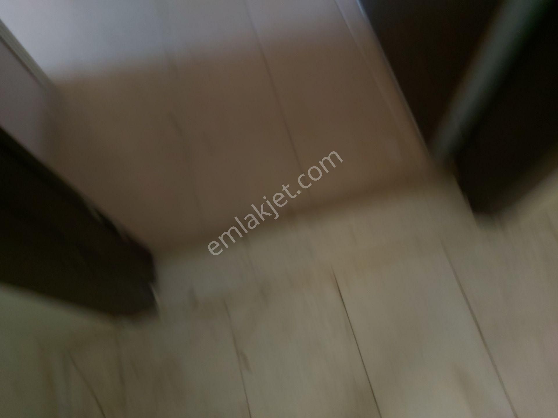 İlyaptan Yapracık Tokide Kiralık 3+1 - Görsel 32