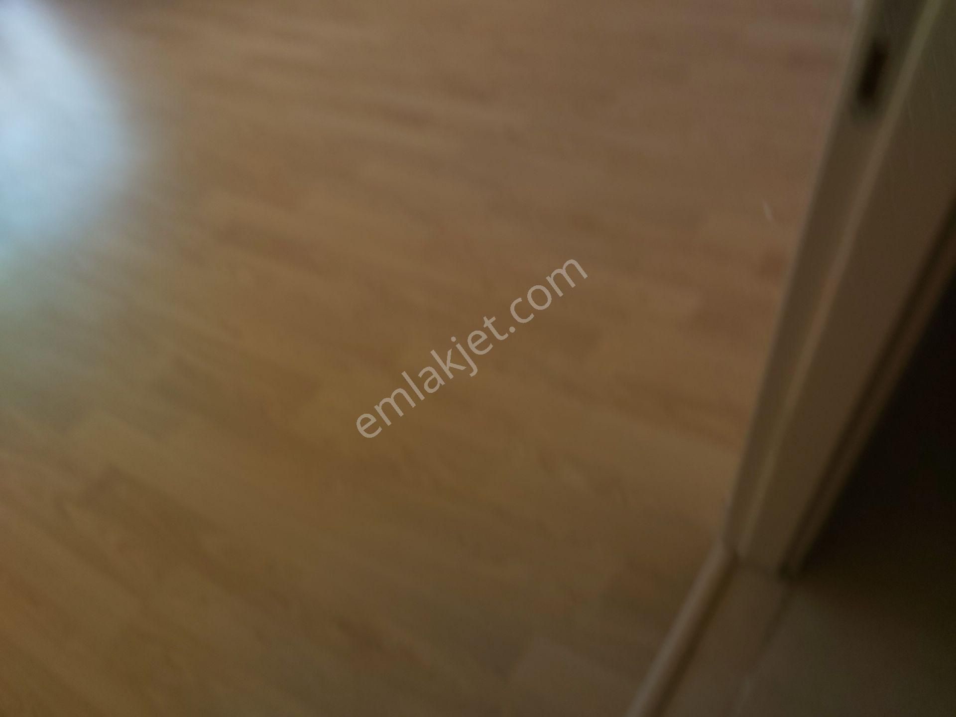 İlyaptan Yapracık Tokide Kiralık 3+1 - Görsel 26