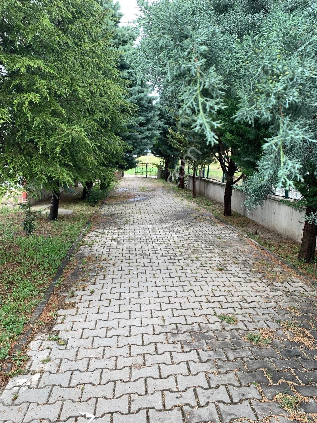 Mehmet Özdemir 'den 3+1 Dublex 215 M2 Kullanışlı Daire - Görsel 2