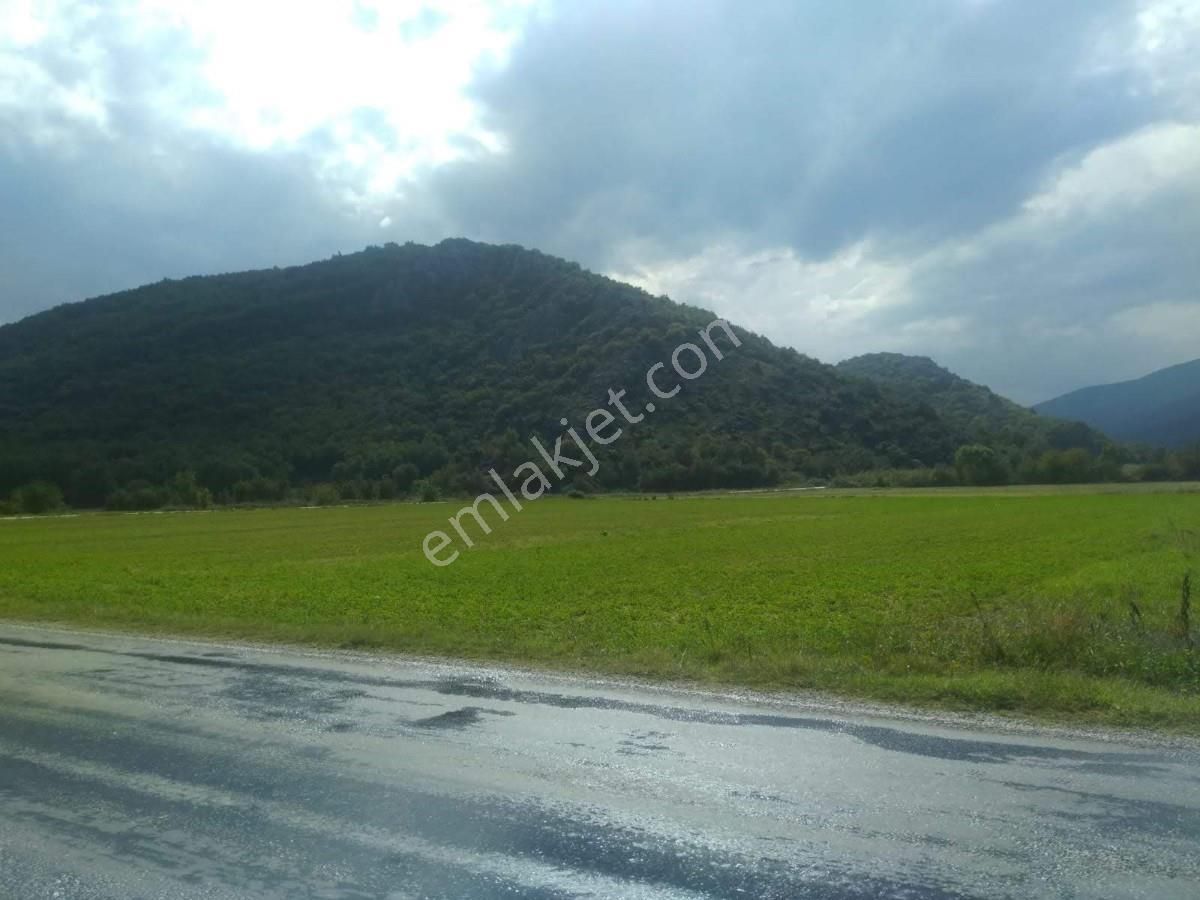 Bursa, Yenişehir,burcun Köyü, Satılık Köşe Tarla - Görsel 6