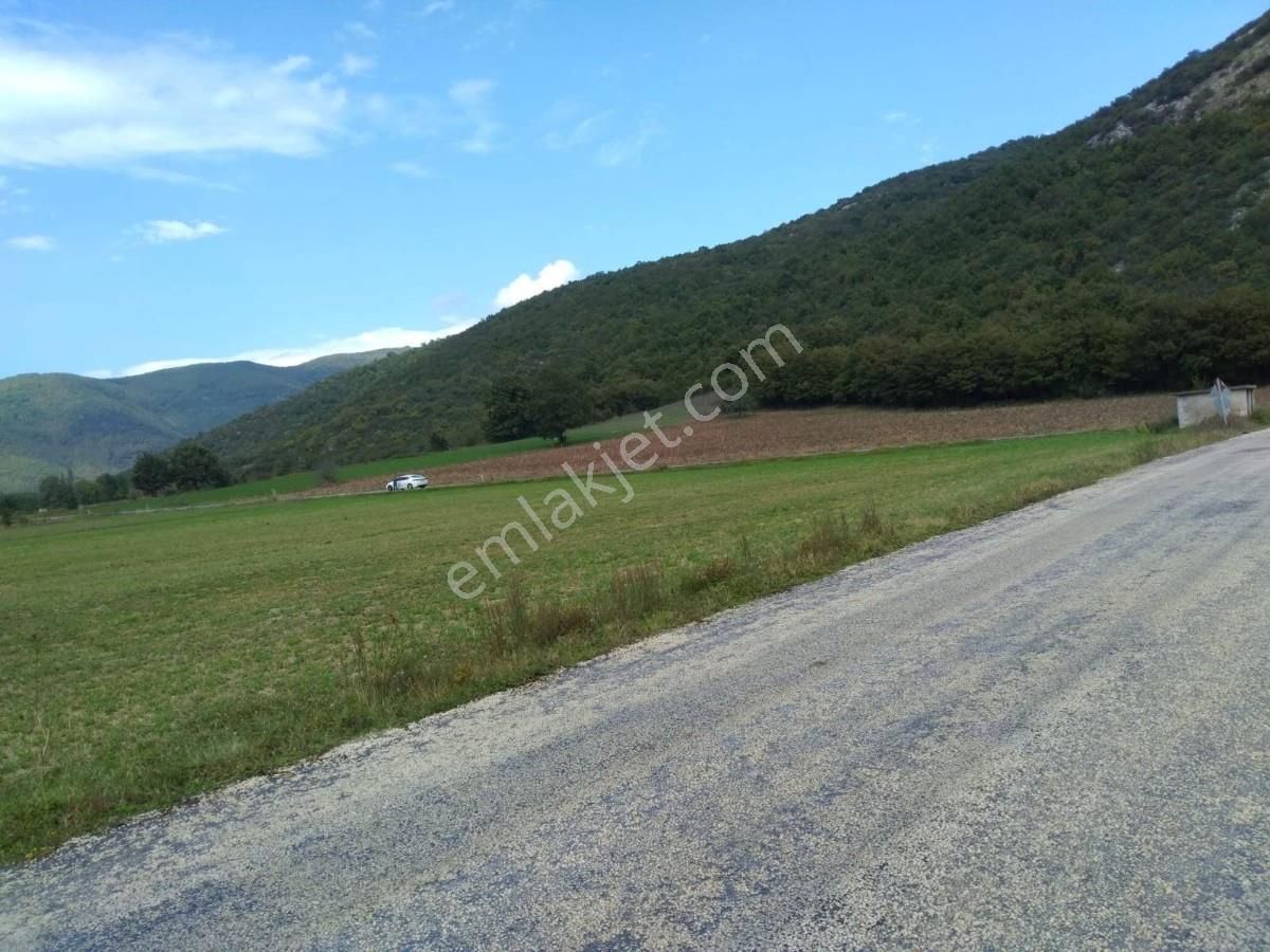 Bursa, Yenişehir,burcun Köyü, Satılık Köşe Tarla - Görsel 8