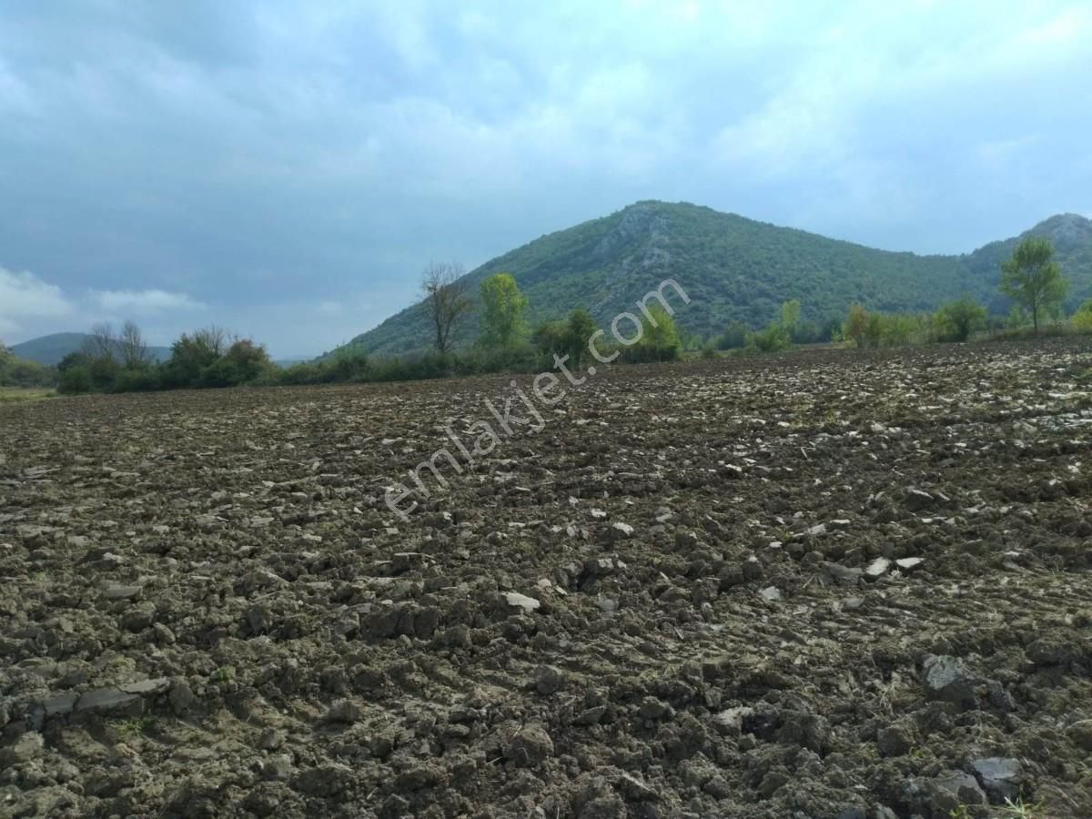 Bursa, Yenişehir,burcun Köyü, Satılık Köşe Tarla - Görsel 11