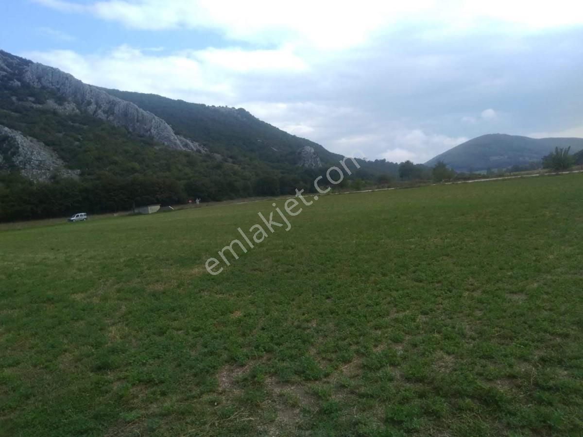 Bursa, Yenişehir,burcun Köyü, Satılık Köşe Tarla - Görsel 36