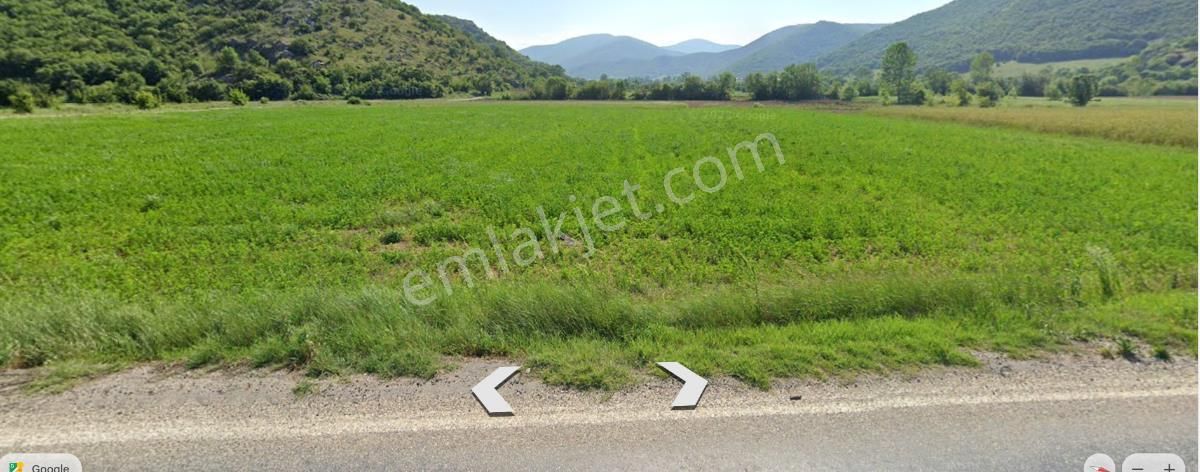 Bursa, Yenişehir,burcun Köyü, Satılık Köşe Tarla - Görsel 3