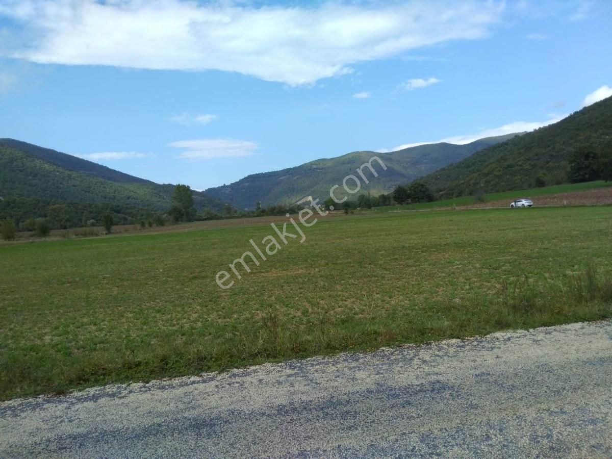 Bursa, Yenişehir,burcun Köyü, Satılık Köşe Tarla - Görsel 12