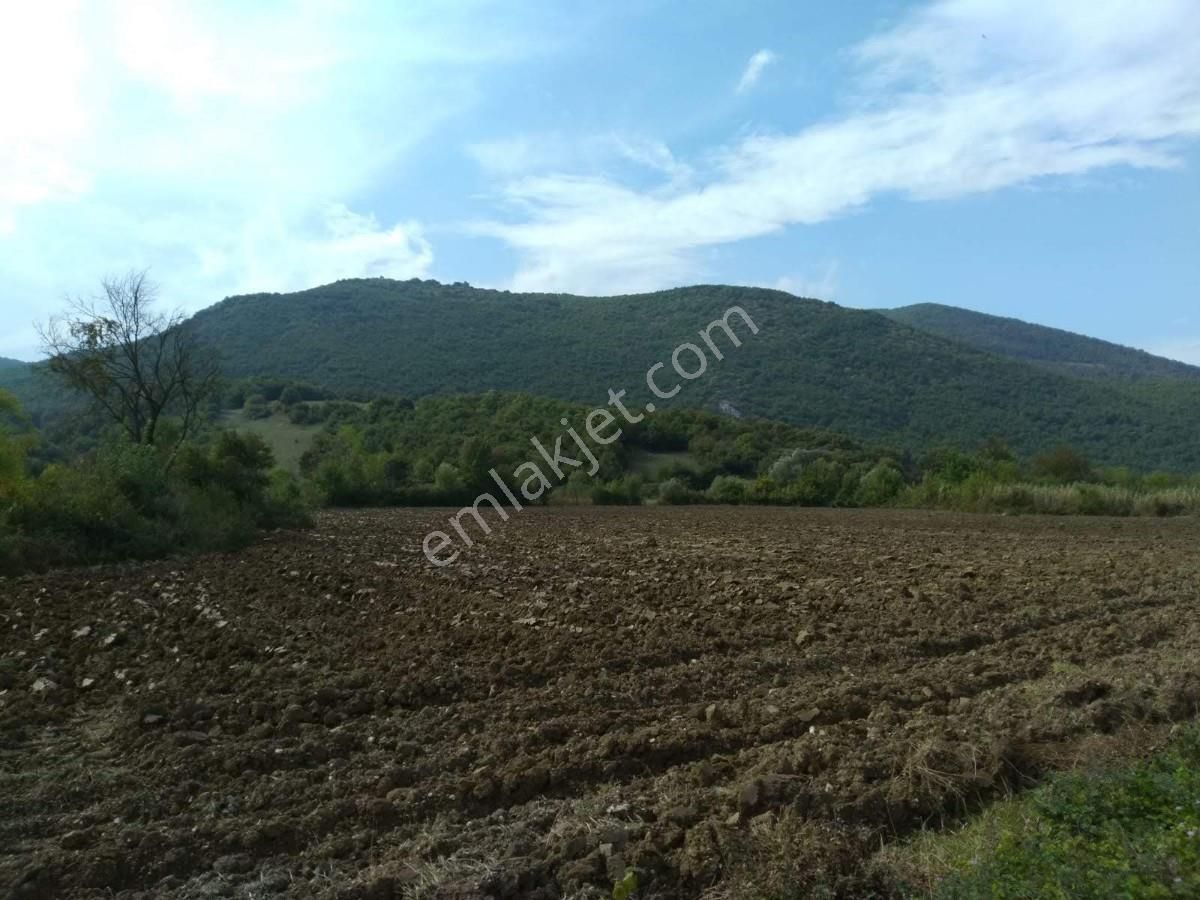 Bursa, Yenişehir,burcun Köyü, Satılık Köşe Tarla - Görsel 26