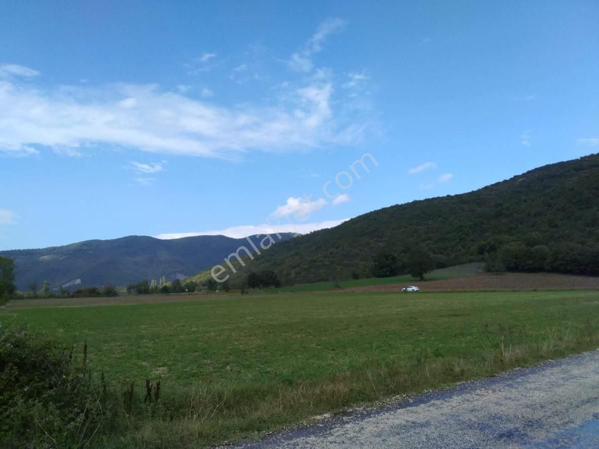 Bursa, Yenişehir,burcun Köyü, Satılık Köşe Tarla - Görsel 15