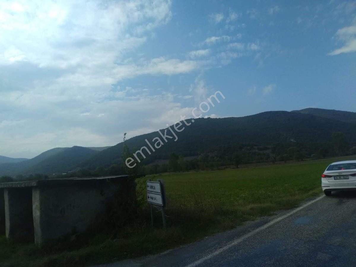 Bursa, Yenişehir,burcun Köyü, Satılık Köşe Tarla - Görsel 39