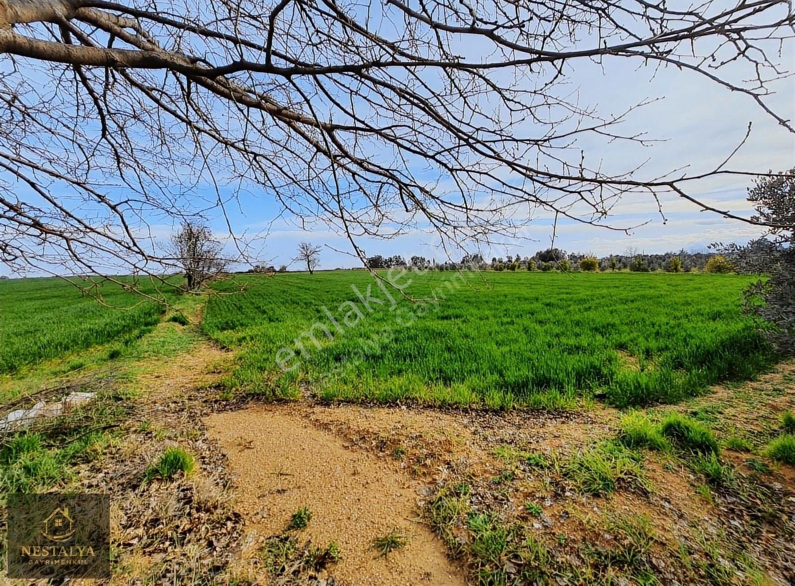Döşemealtı Karataş'ta Yatırımlık 5.931 M2 Satılık Tarla - Görsel 6