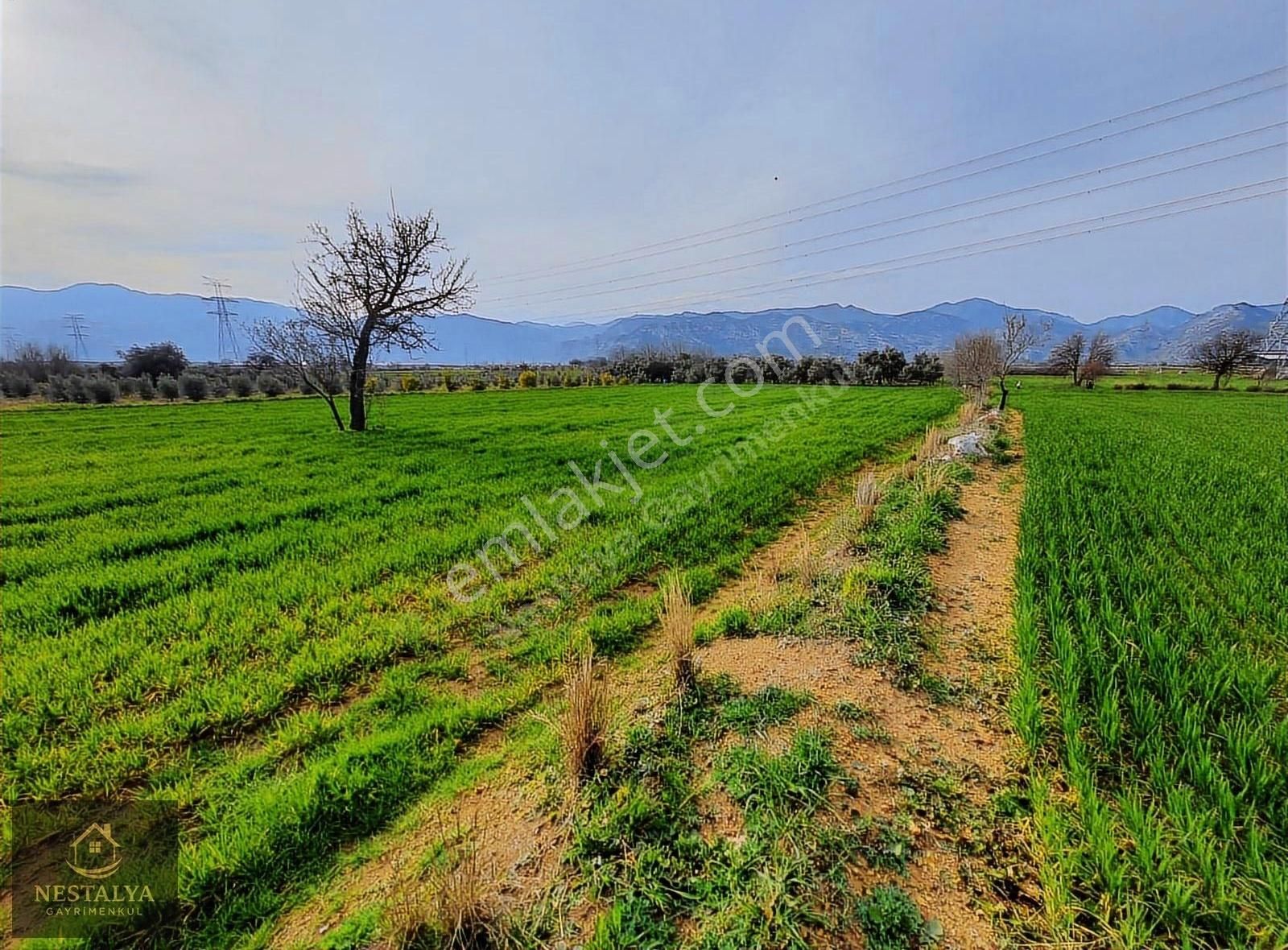 Döşemealtı Karataş'ta Yatırımlık 5.931 M2 Satılık Tarla - Görsel 13