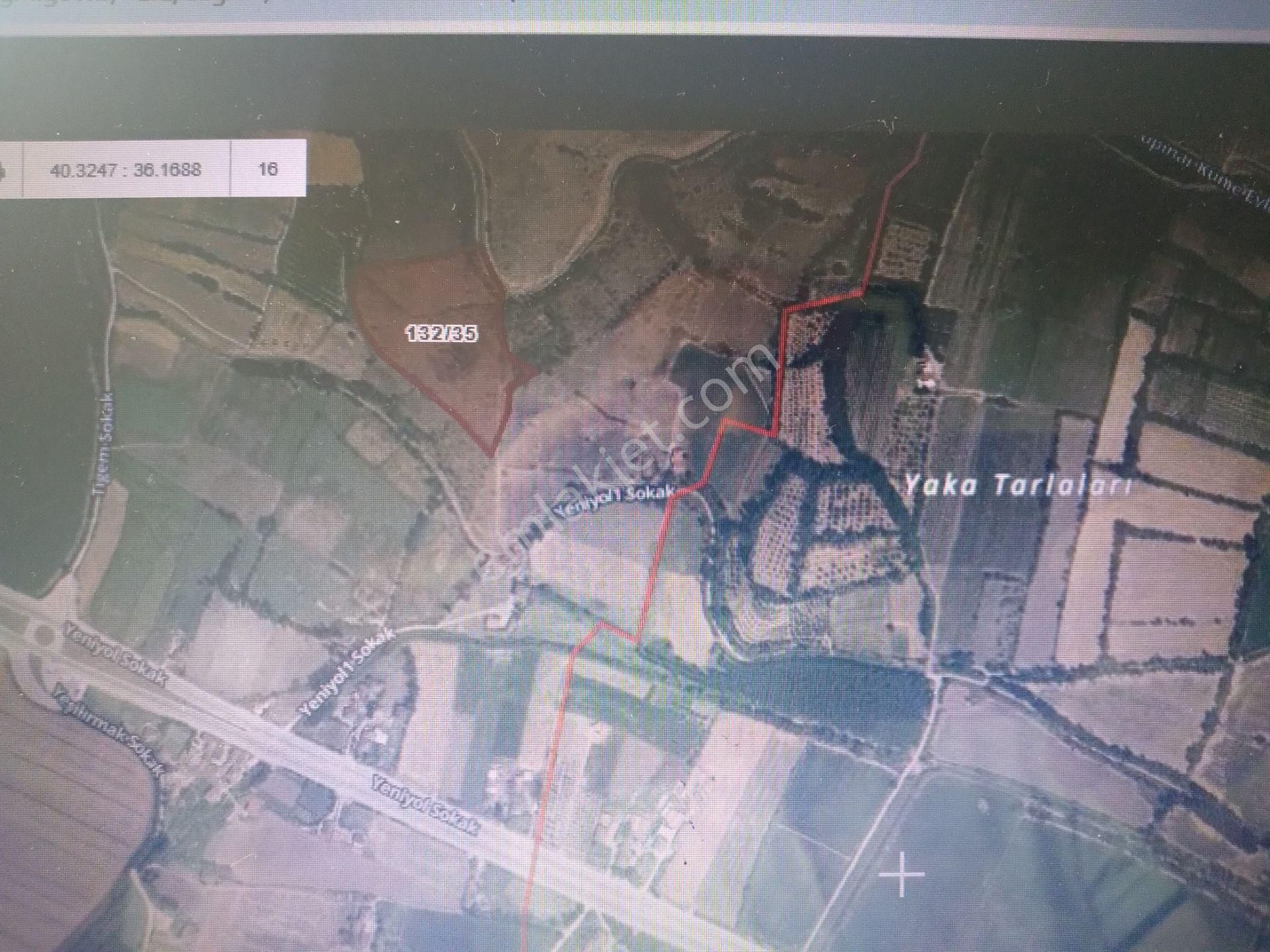 Satılık Tarla Anas Emlak Tan - Görsel 3