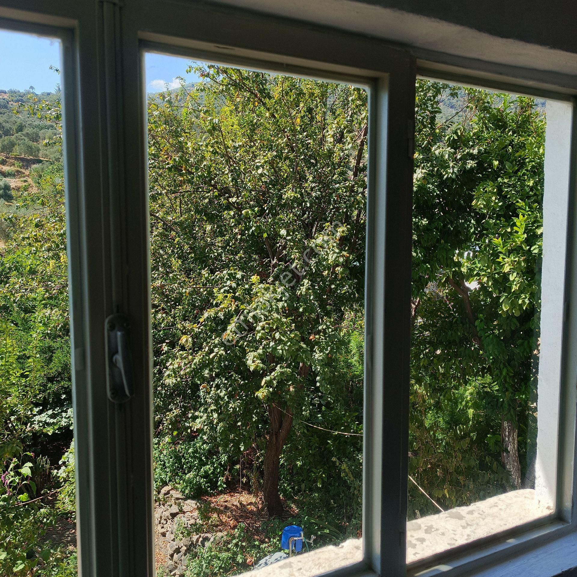 Bahçeli Taşev - Görsel 5