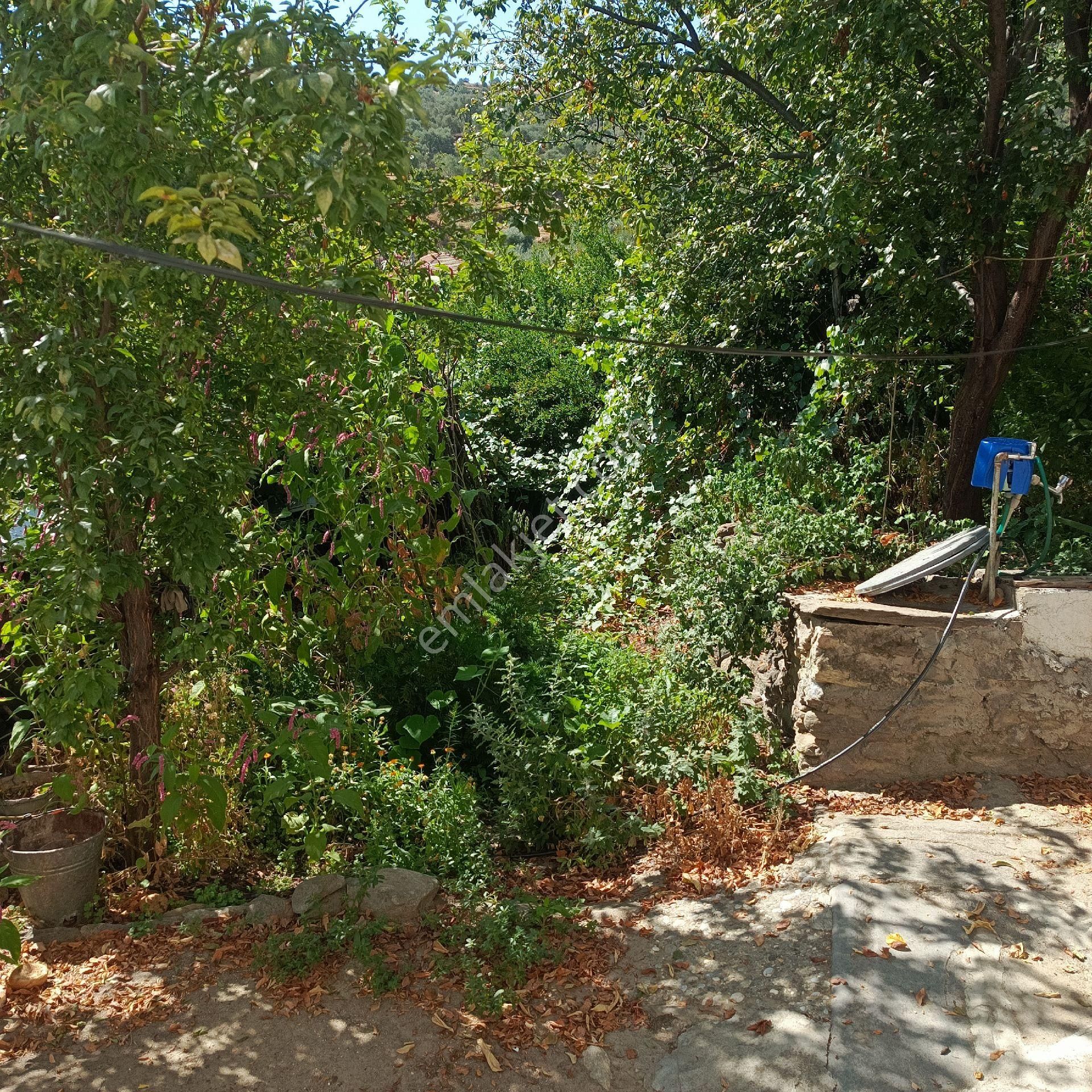 Bahçeli Taşev - Görsel 15