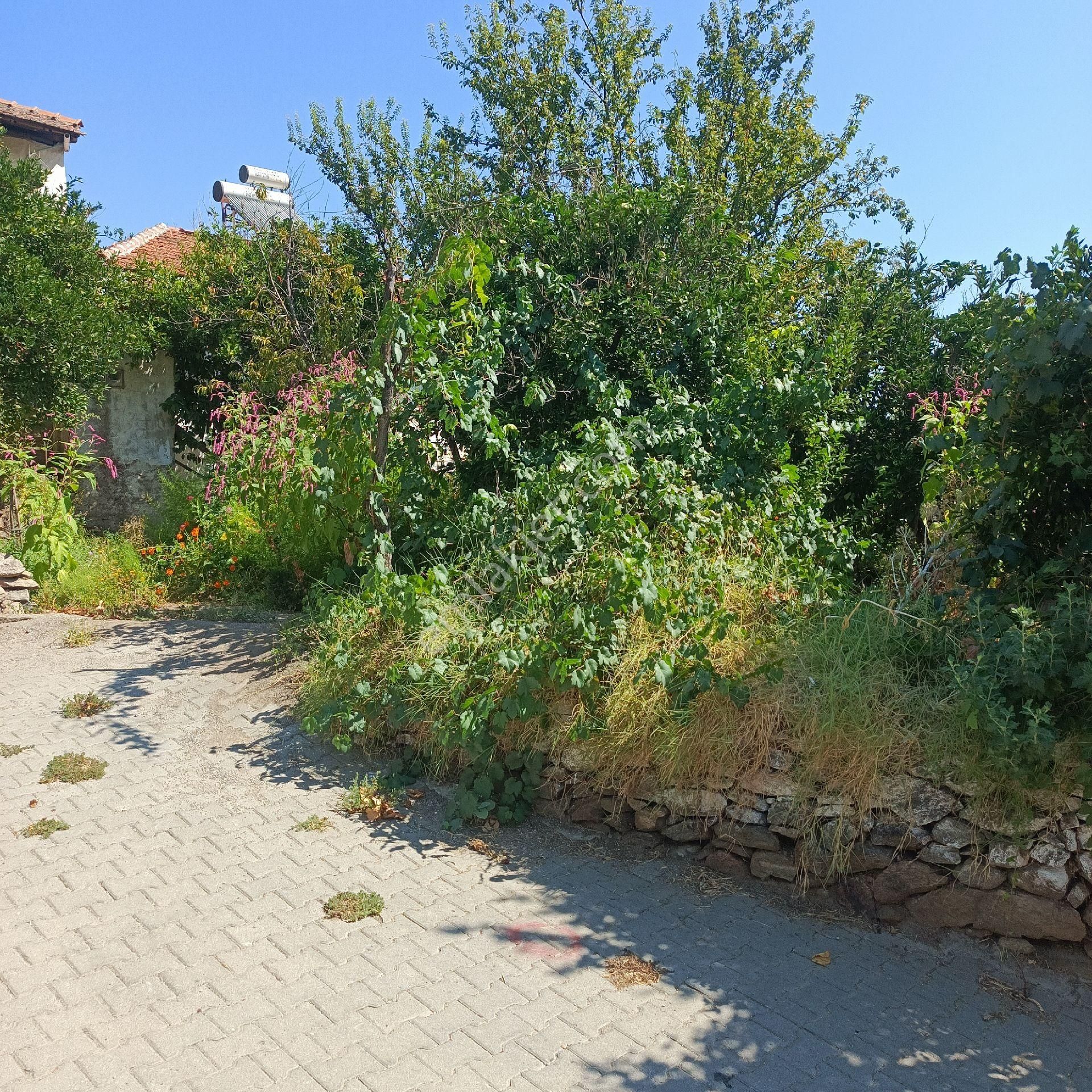 Bahçeli Taşev - Görsel 19