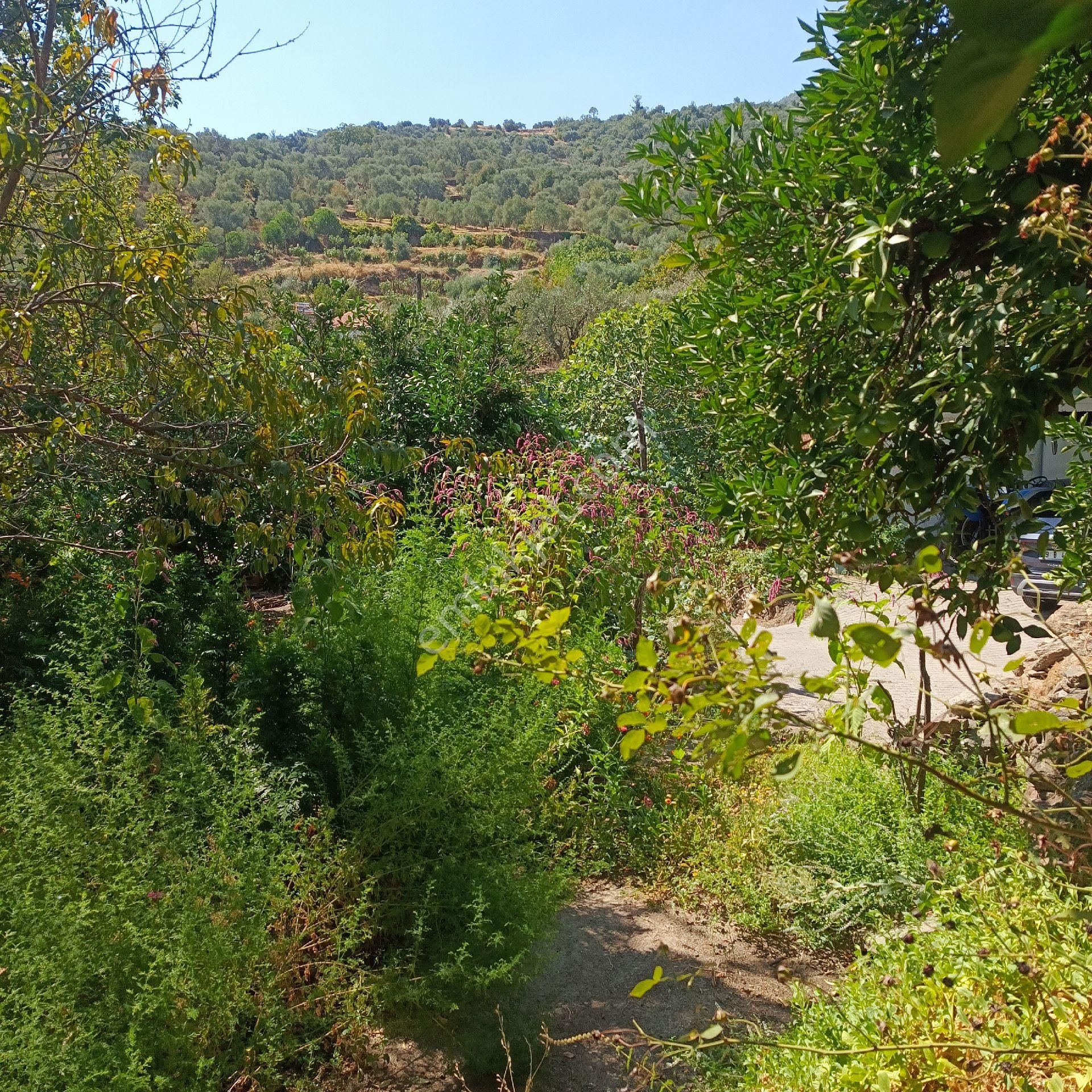 Bahçeli Taşev - Görsel 20