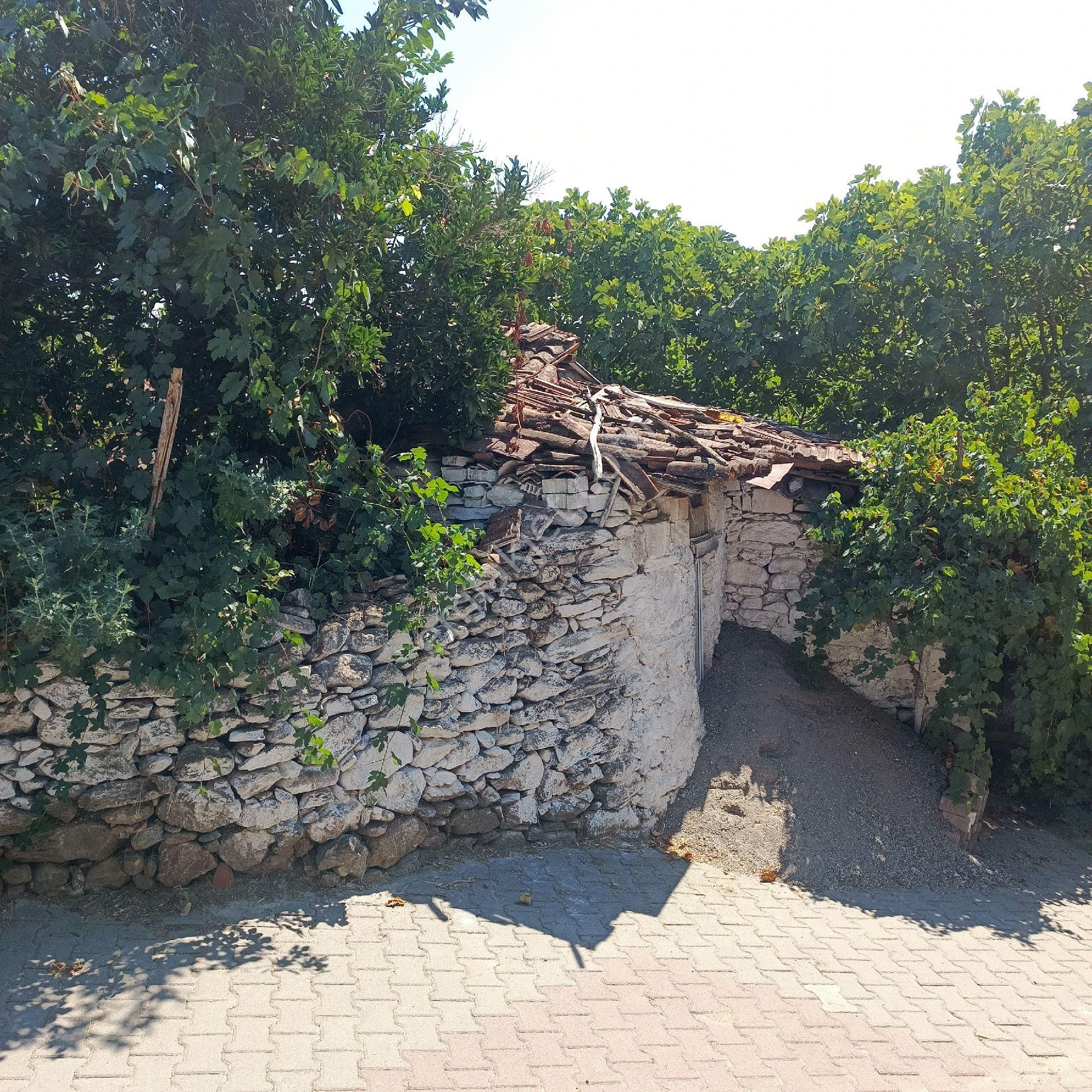 Bahçeli Taşev - Görsel 7