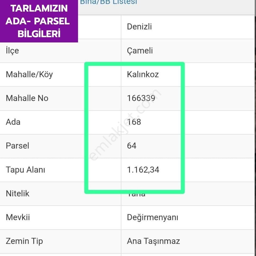Lobby Fortis'ten Çameli Kalınkoz'da 1162 M² Tarlamız Satılıktır. - Görsel 8