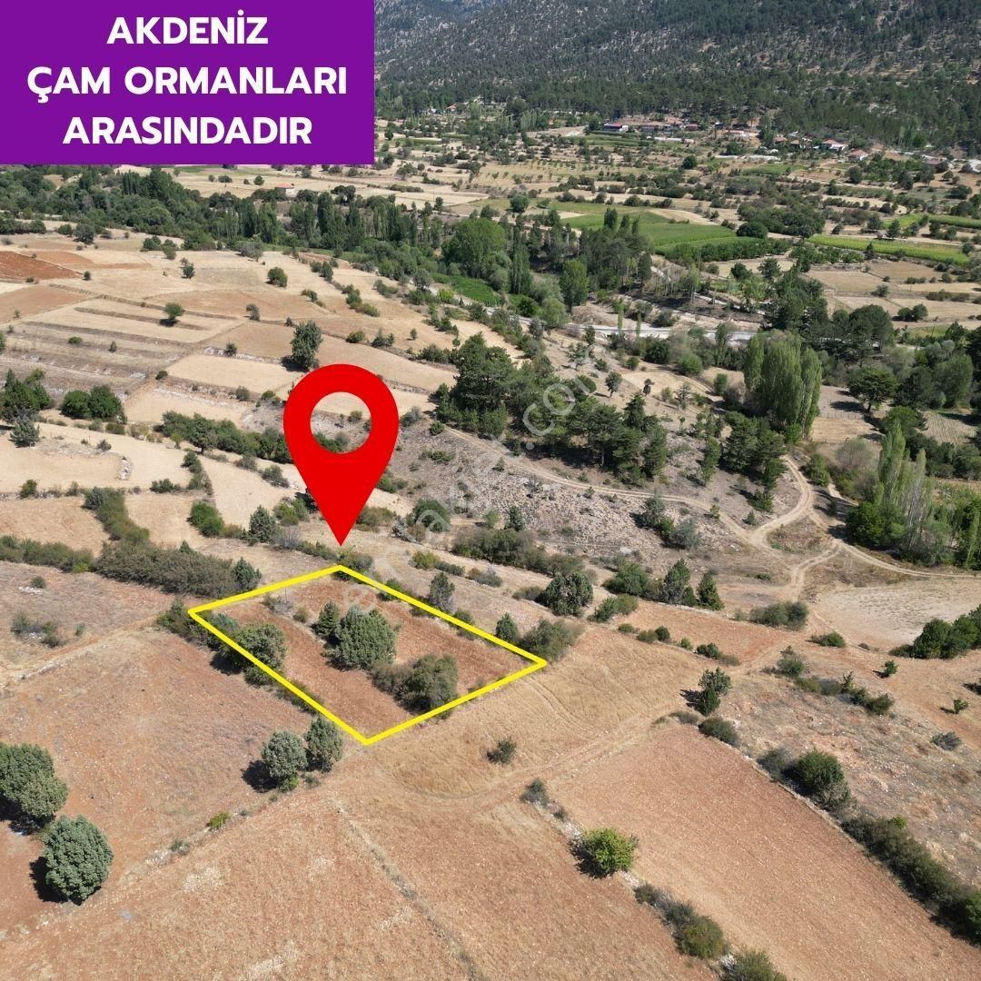 Lobby Fortis'ten Çameli Kalınkoz'da 1162 M² Tarlamız Satılıktır. - Görsel 4