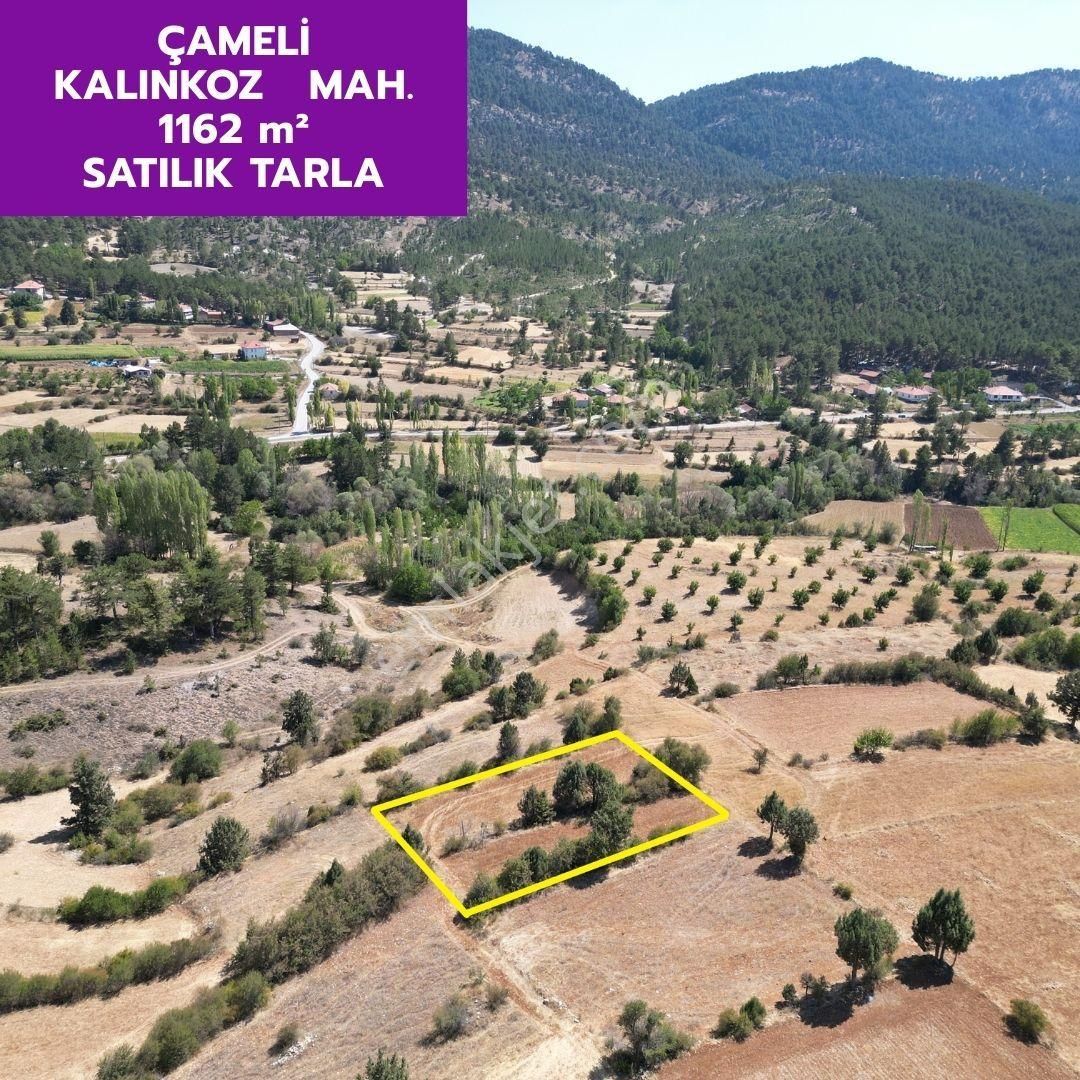 Lobby Fortis'ten Çameli Kalınkoz'da 1162 M² Tarlamız Satılıktır.