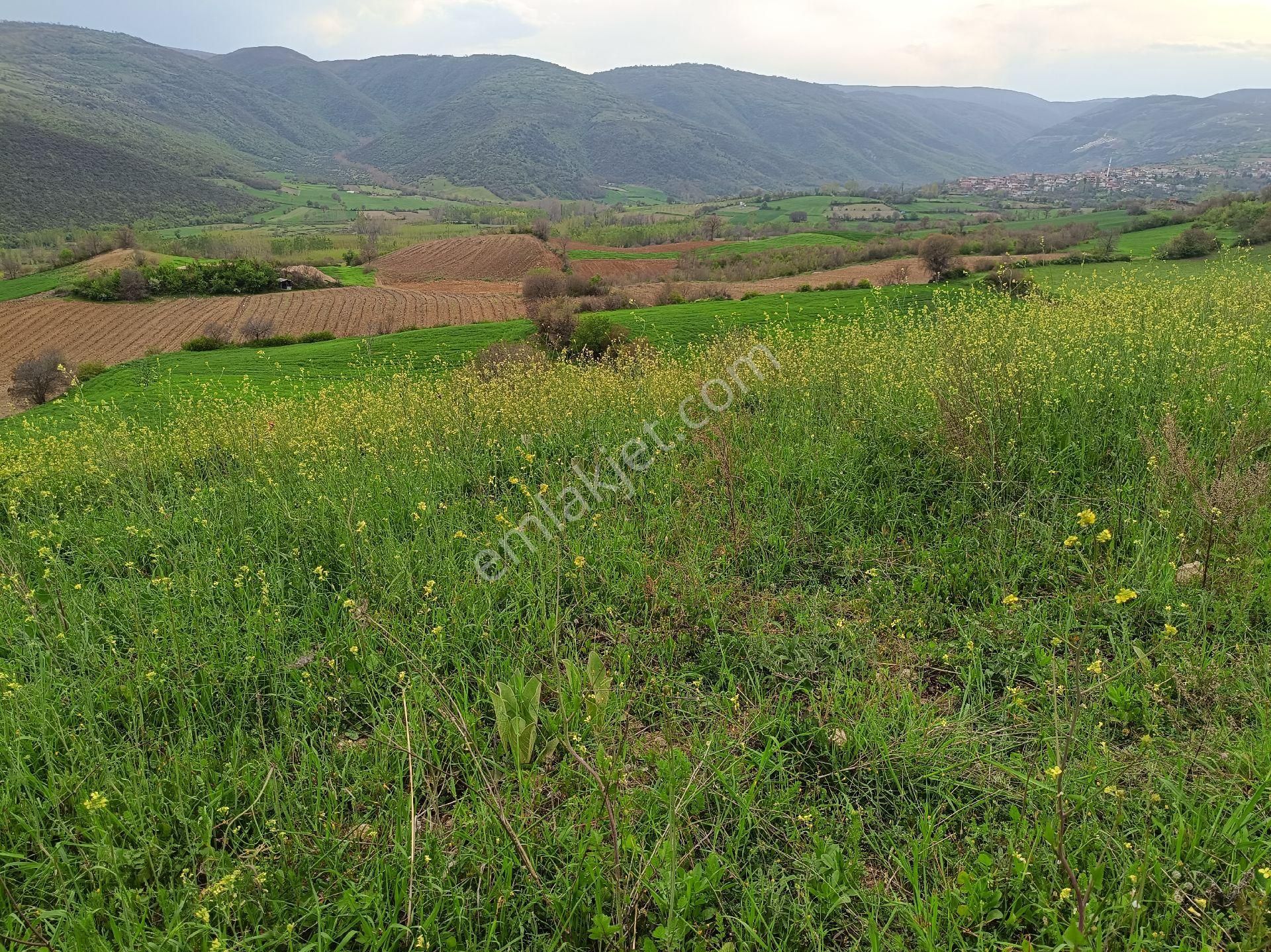 7.5 Dönüm Uygun Fiyat - Görsel 2