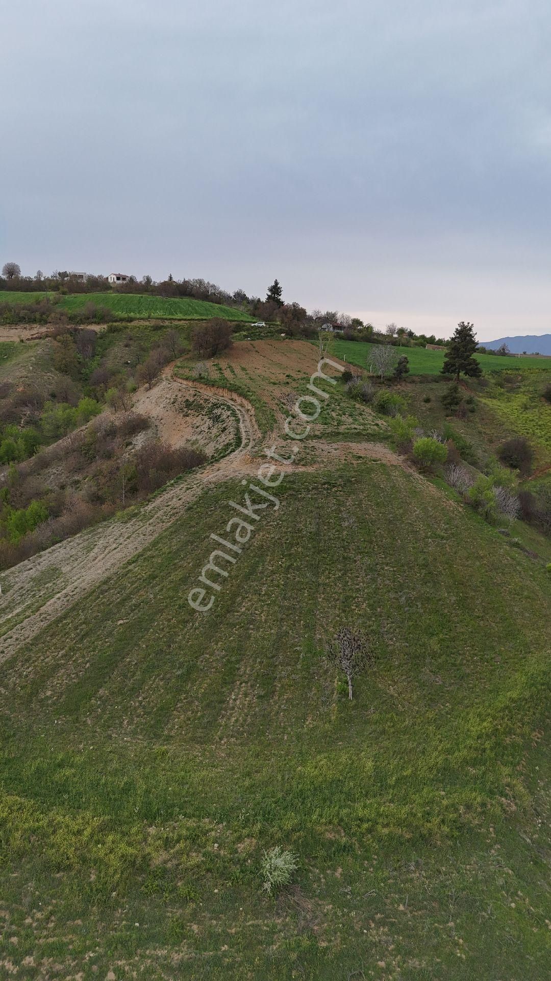 7.5 Dönüm Uygun Fiyat - Görsel 5