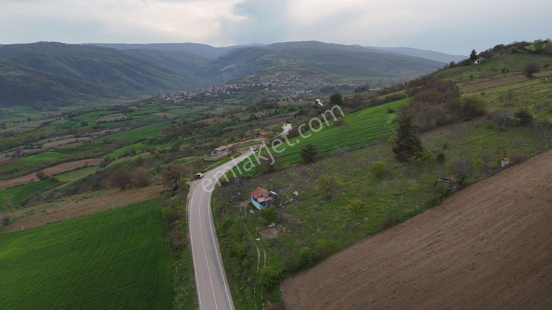 7.5 Dönüm Uygun Fiyat - Görsel 6