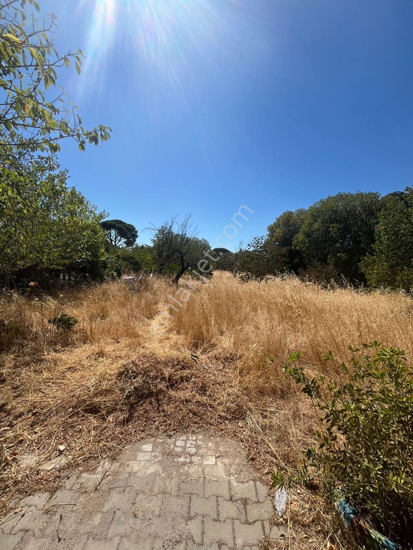 Bergama Bağlarda Süper Konum Ev Ve Arazi 1900 Metrekare - Görsel 13