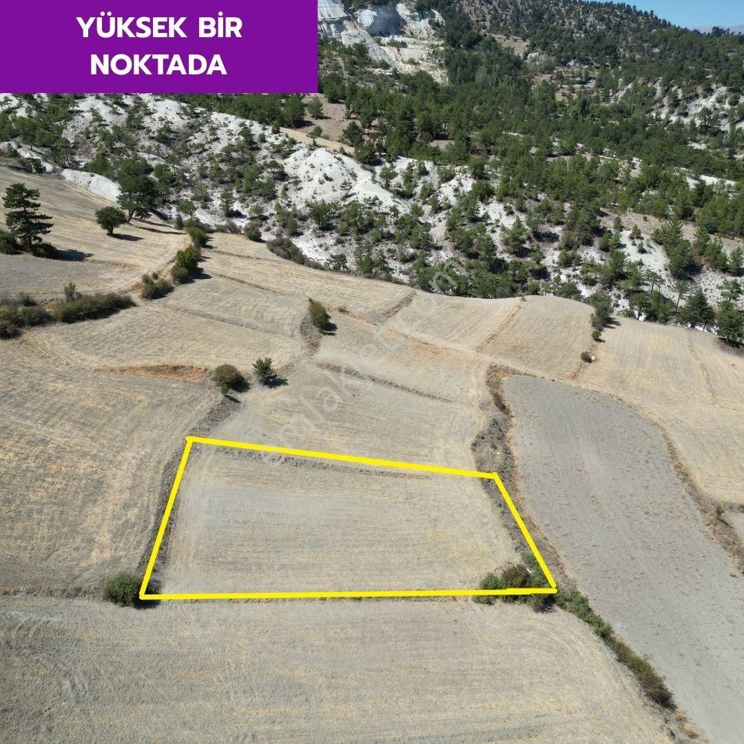 Lobby Fortis'ten Çameli Çamlıbel'de 1548 M² Tarlamız Satılıktır. - Görsel 3