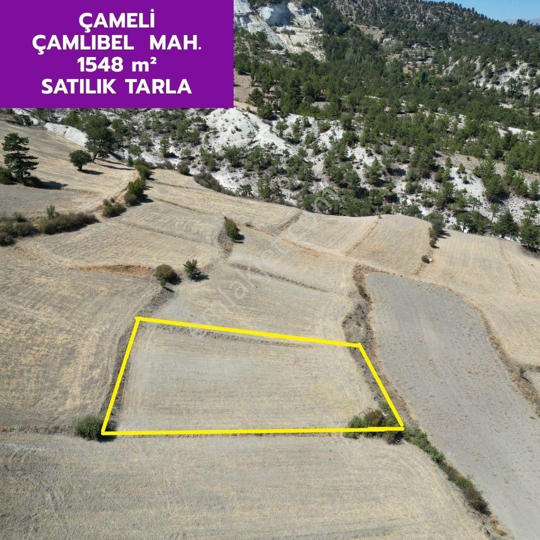 Lobby Fortis'ten Çameli Çamlıbel'de 1548 M² Tarlamız Satılıktır.