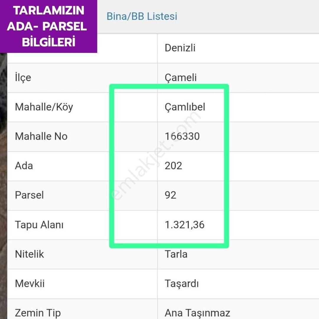 Lobby Fortis'ten Çameli Çamlıbel'de 1321 M² Tarlamız Satılıktır - Görsel 8