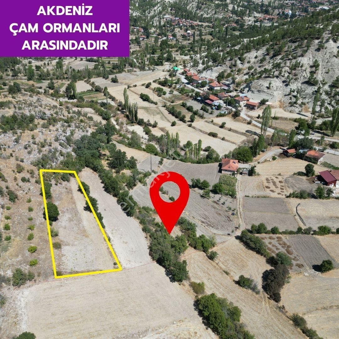 Lobby Fortis'ten Çameli Çamlıbel'de 1321 M² Tarlamız Satılıktır - Görsel 4
