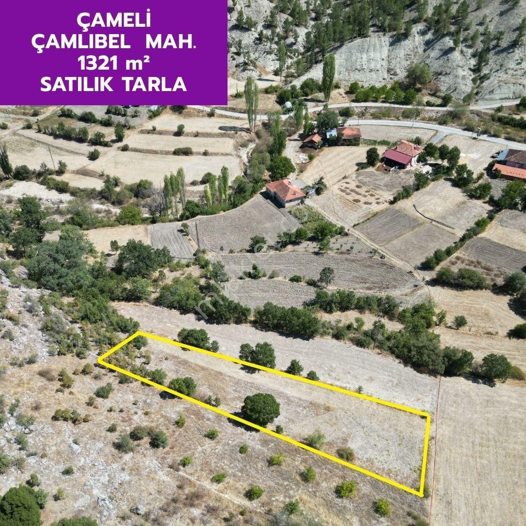 Lobby Fortis'ten Çameli Çamlıbel'de 1321 M² Tarlamız Satılıktır