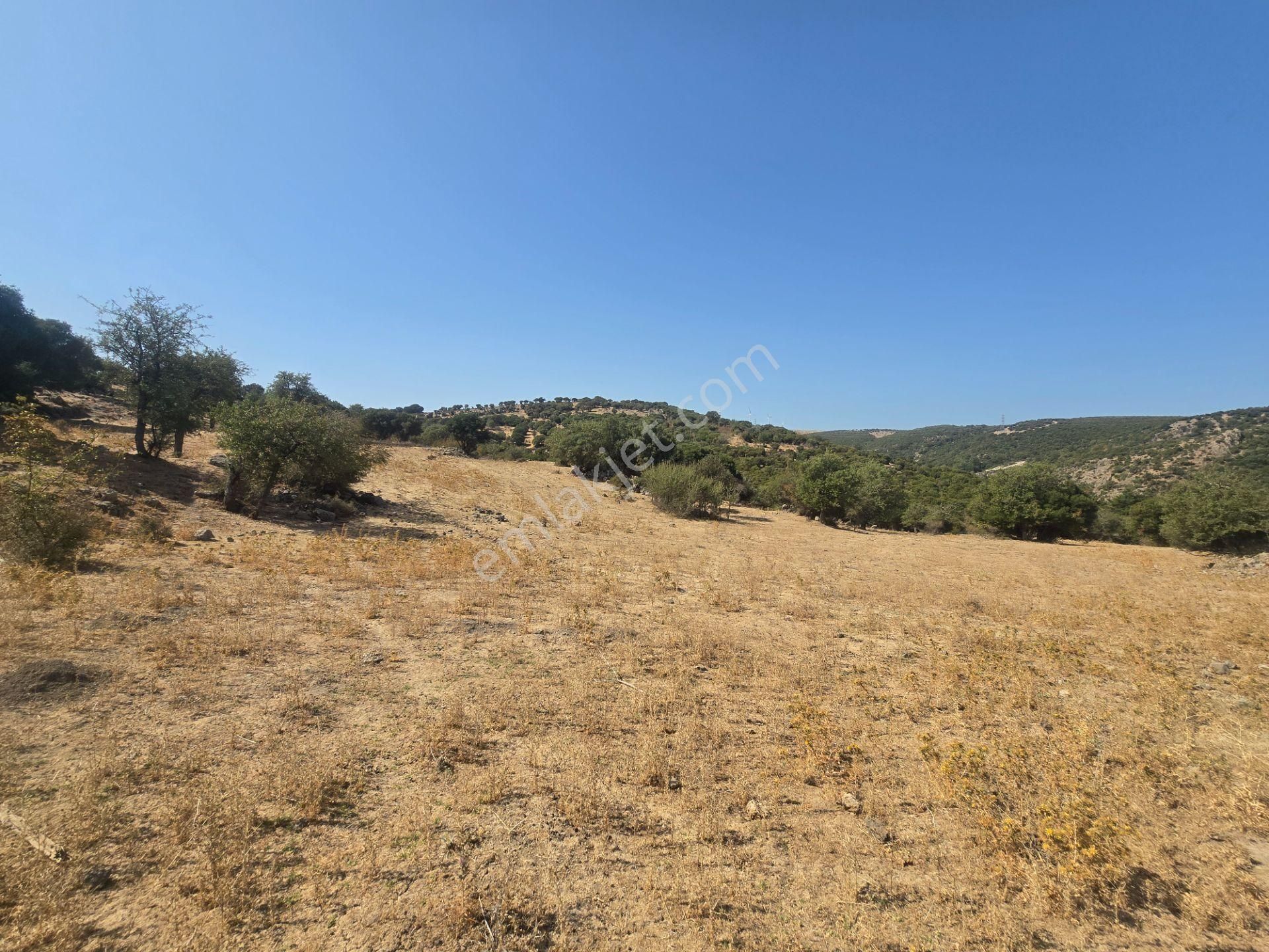 Ayvacık Budaklar'da 10700 M2 Eko Truzim İmarlı Arsa Satılıktır - Görsel 21