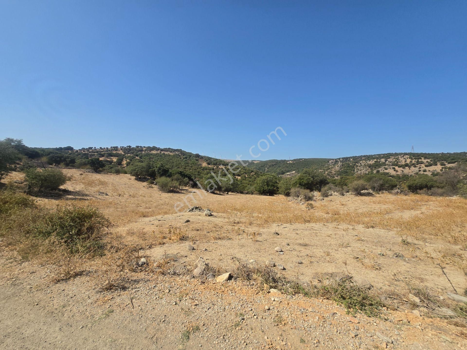 Ayvacık Budaklar'da 10700 M2 Eko Truzim İmarlı Arsa Satılıktır - Görsel 24