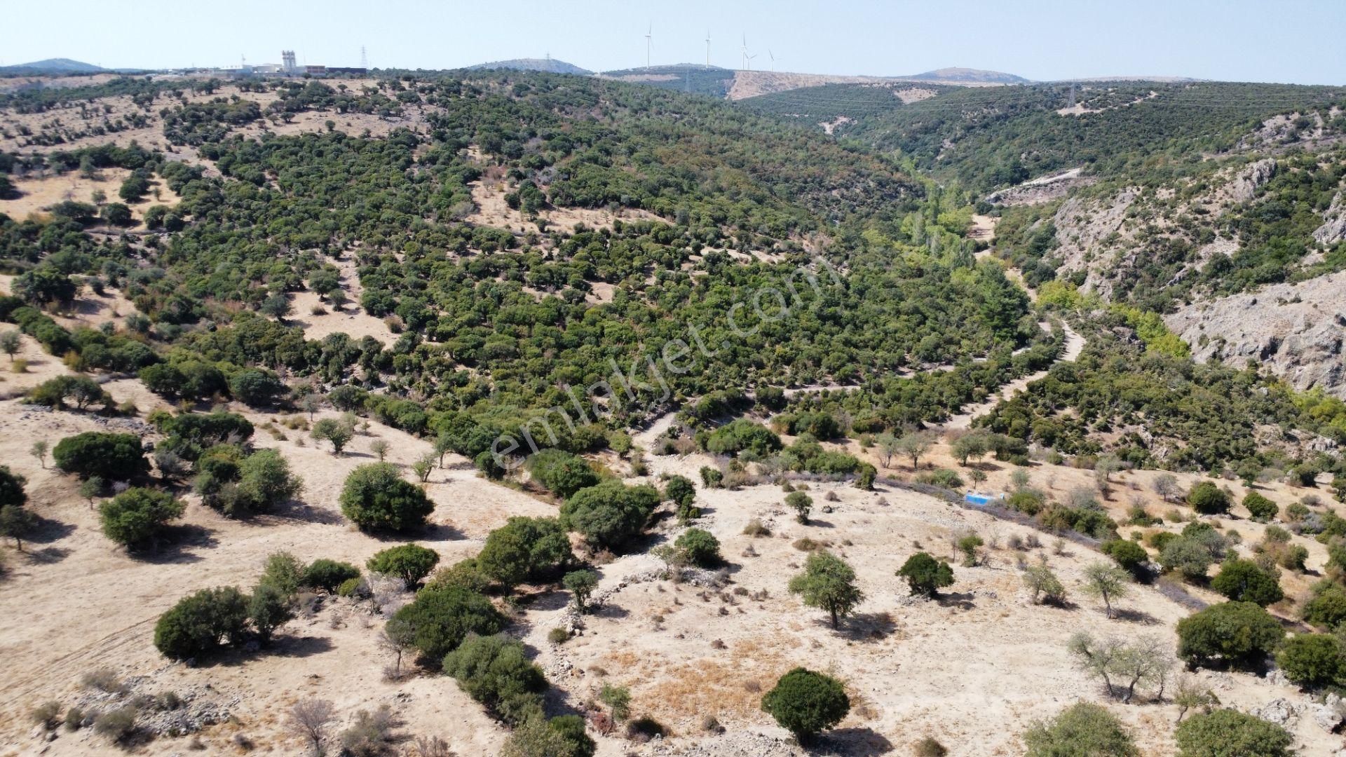 Ayvacık Budaklar'da 10700 M2 Eko Truzim İmarlı Arsa Satılıktır - Görsel 29