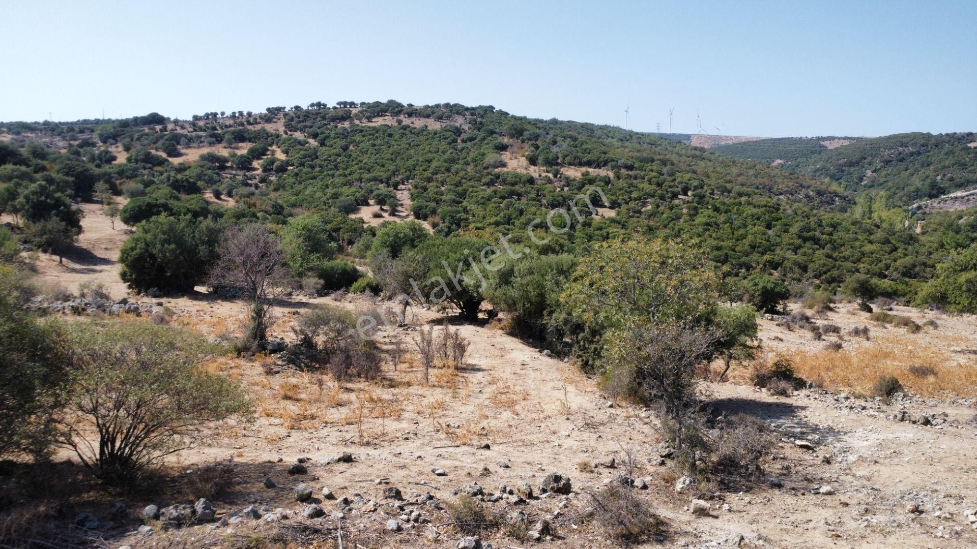 Ayvacık Budaklar'da 10700 M2 Eko Truzim İmarlı Arsa Satılıktır - Görsel 30