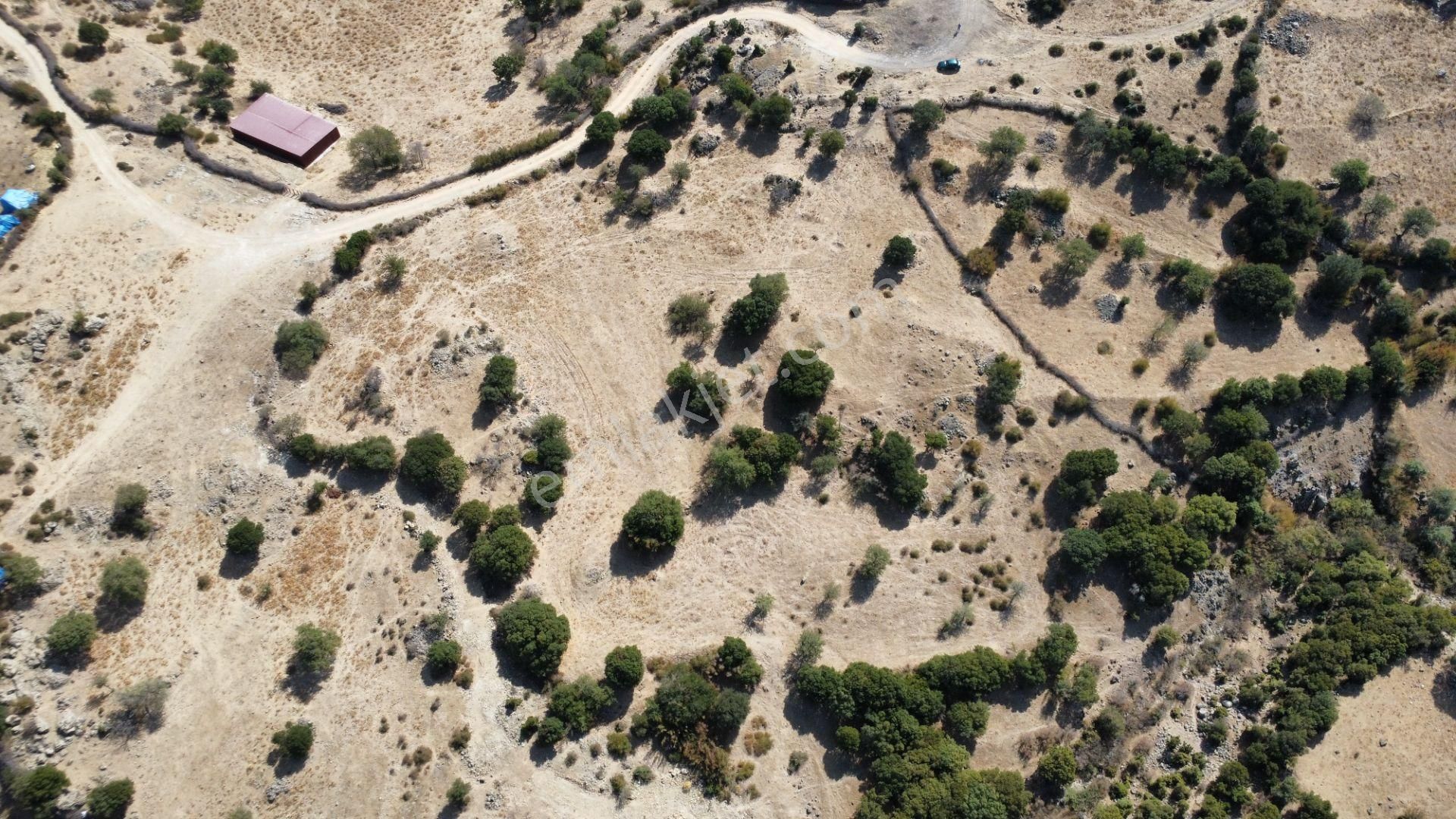 Ayvacık Budaklar'da 10700 M2 Eko Truzim İmarlı Arsa Satılıktır - Görsel 13