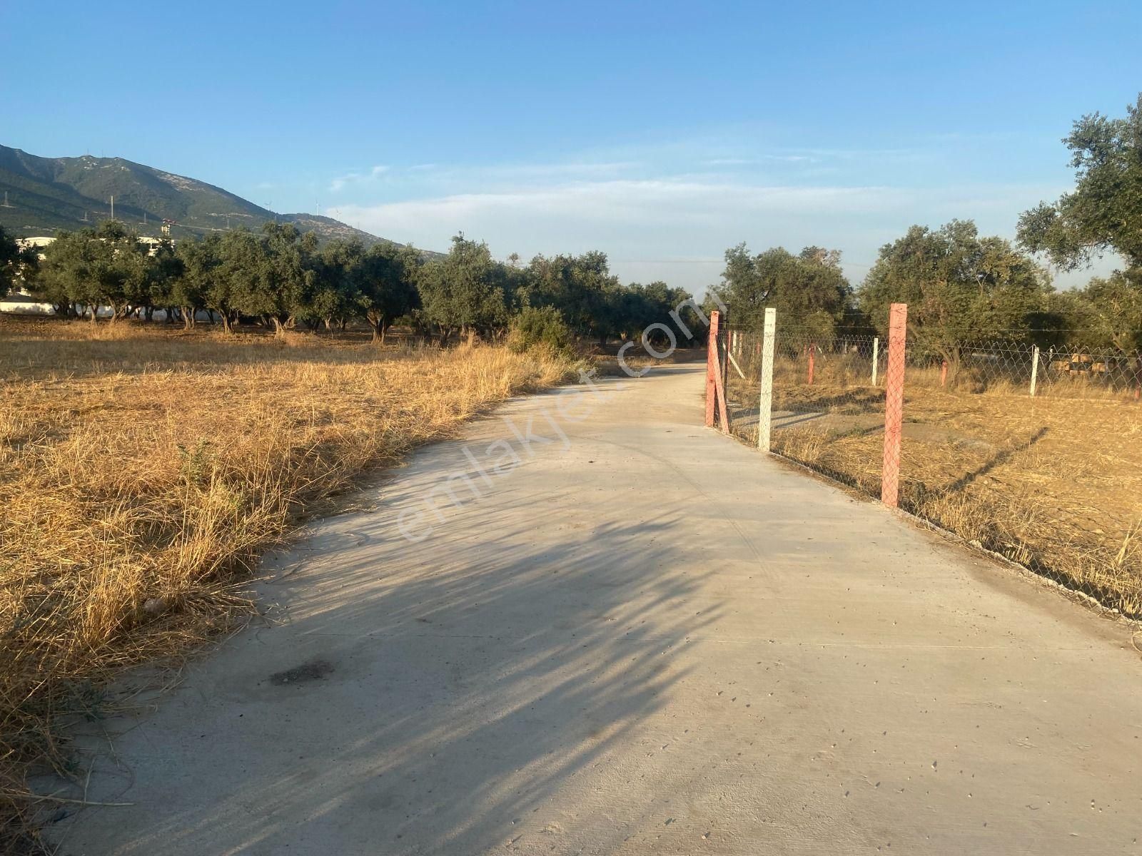 Kaya Emlak'tan Kemalpaşa Sütçüler Bölgesinde Acil Satılık 512m2 Bahçe - Görsel 19