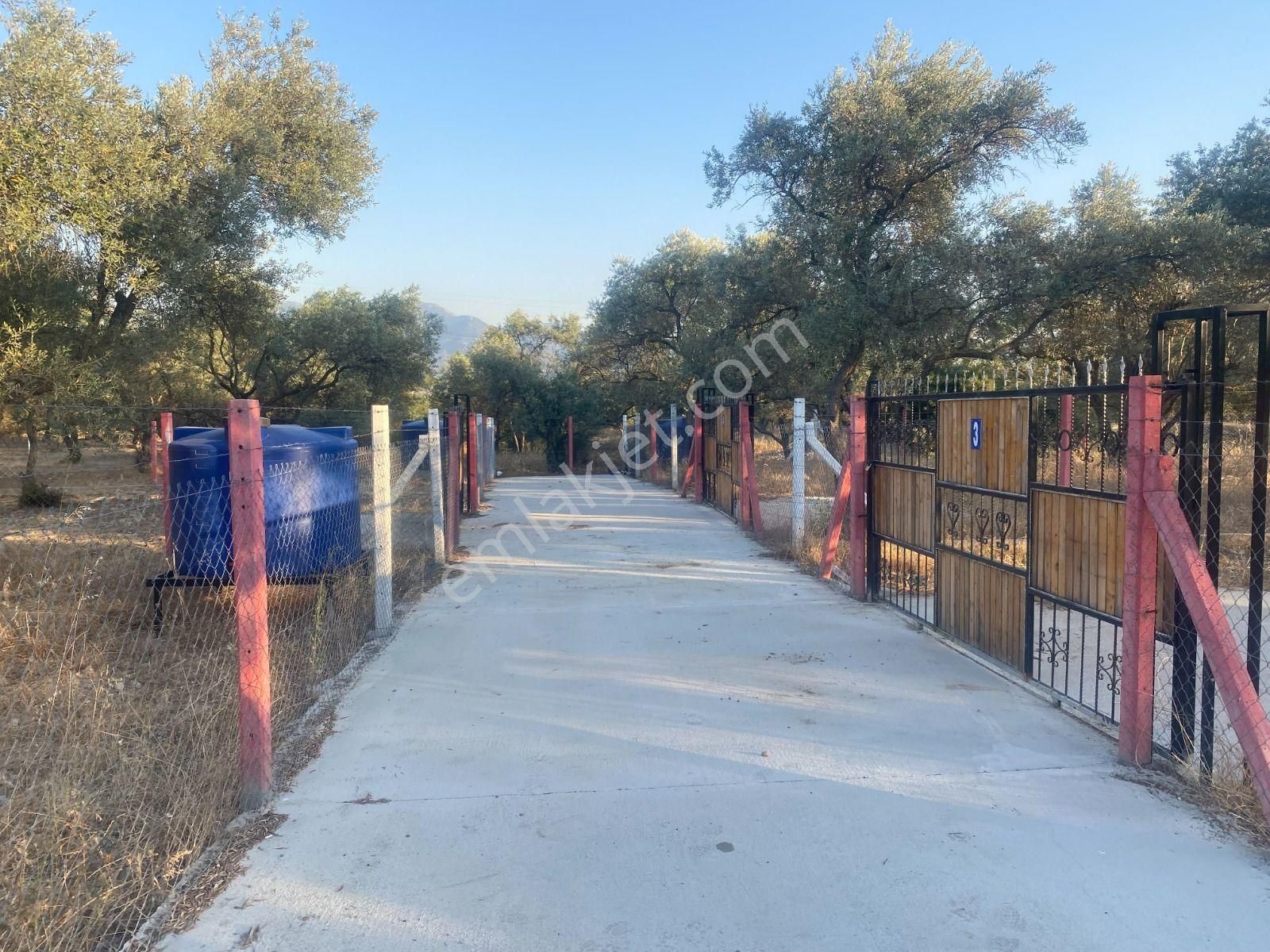 Kaya Emlak'tan Kemalpaşa Sütçüler Bölgesinde Acil Satılık 512m2 Bahçe - Görsel 6