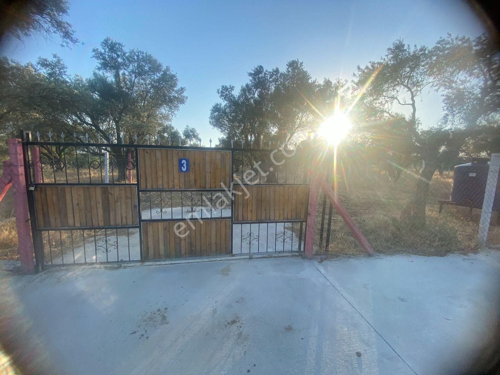 Kaya Emlak'tan Kemalpaşa Sütçüler Bölgesinde Acil Satılık 512m2 Bahçe - Görsel 3