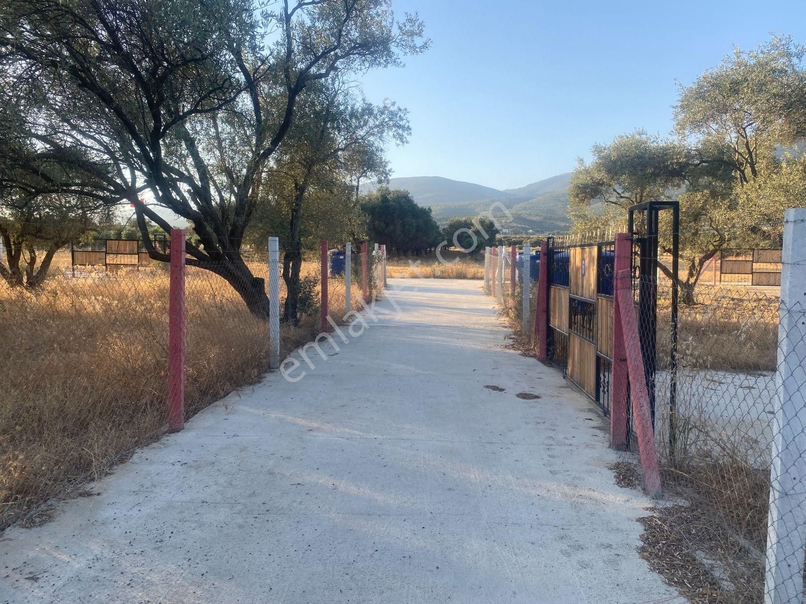 Kaya Emlak'tan Kemalpaşa Sütçüler Bölgesinde Acil Satılık 512m2 Bahçe - Görsel 2